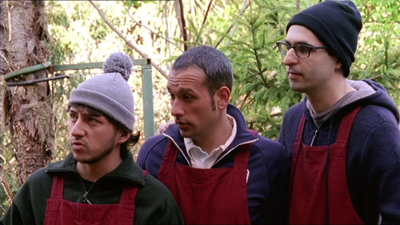 Tutti pazzi per amore