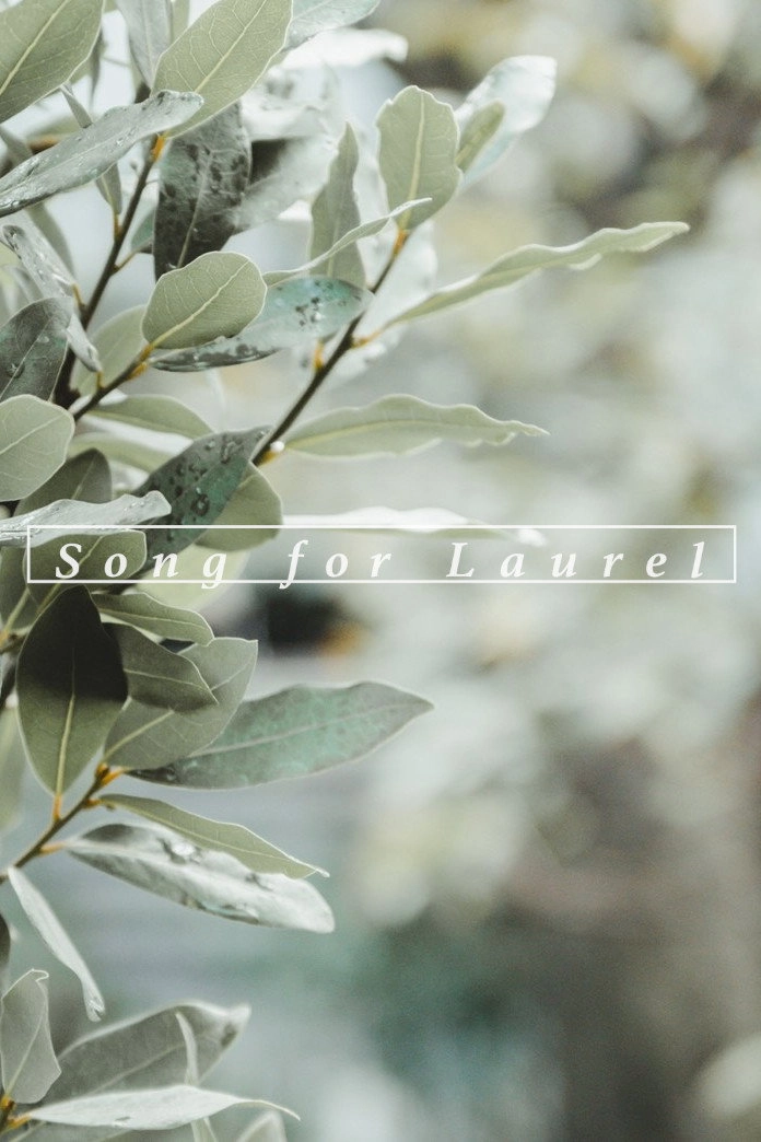 Song for Laurel