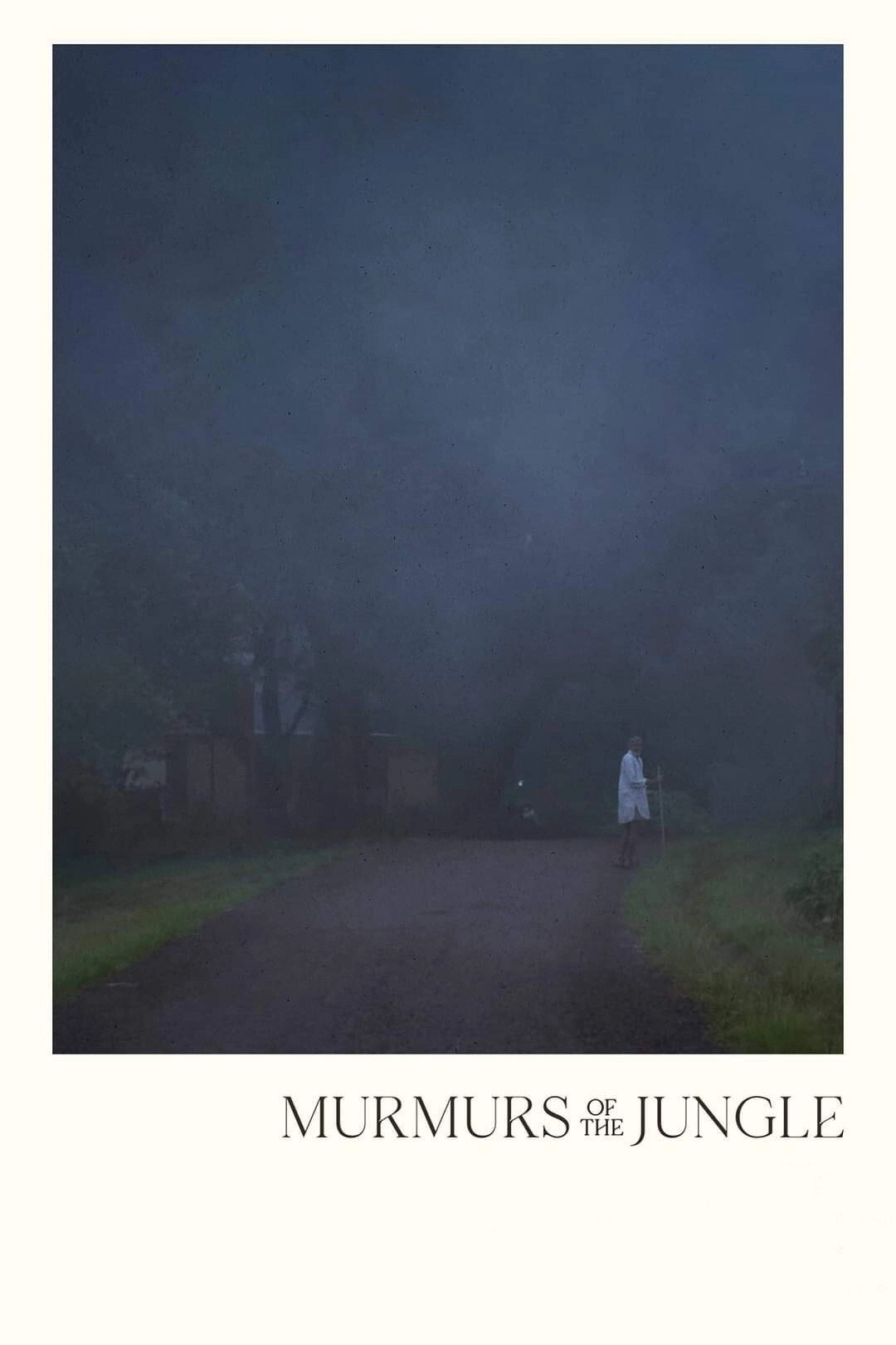 Murmurs of the Jungle