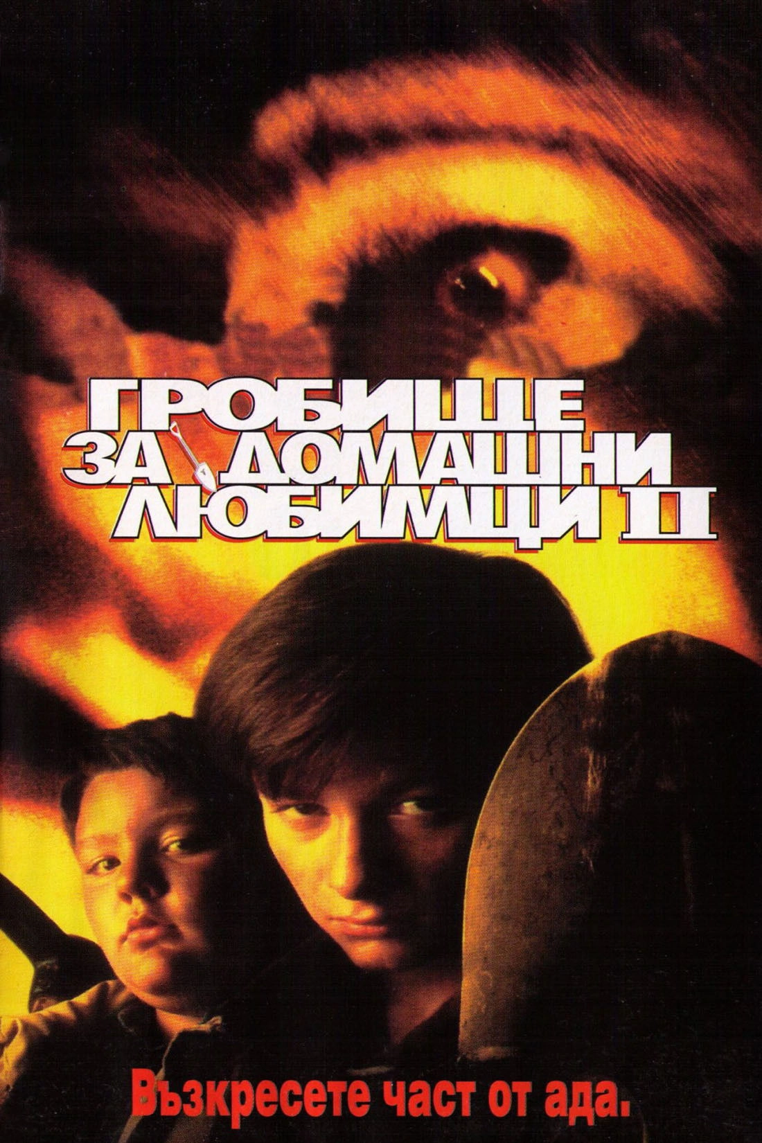 Pet Sematary II