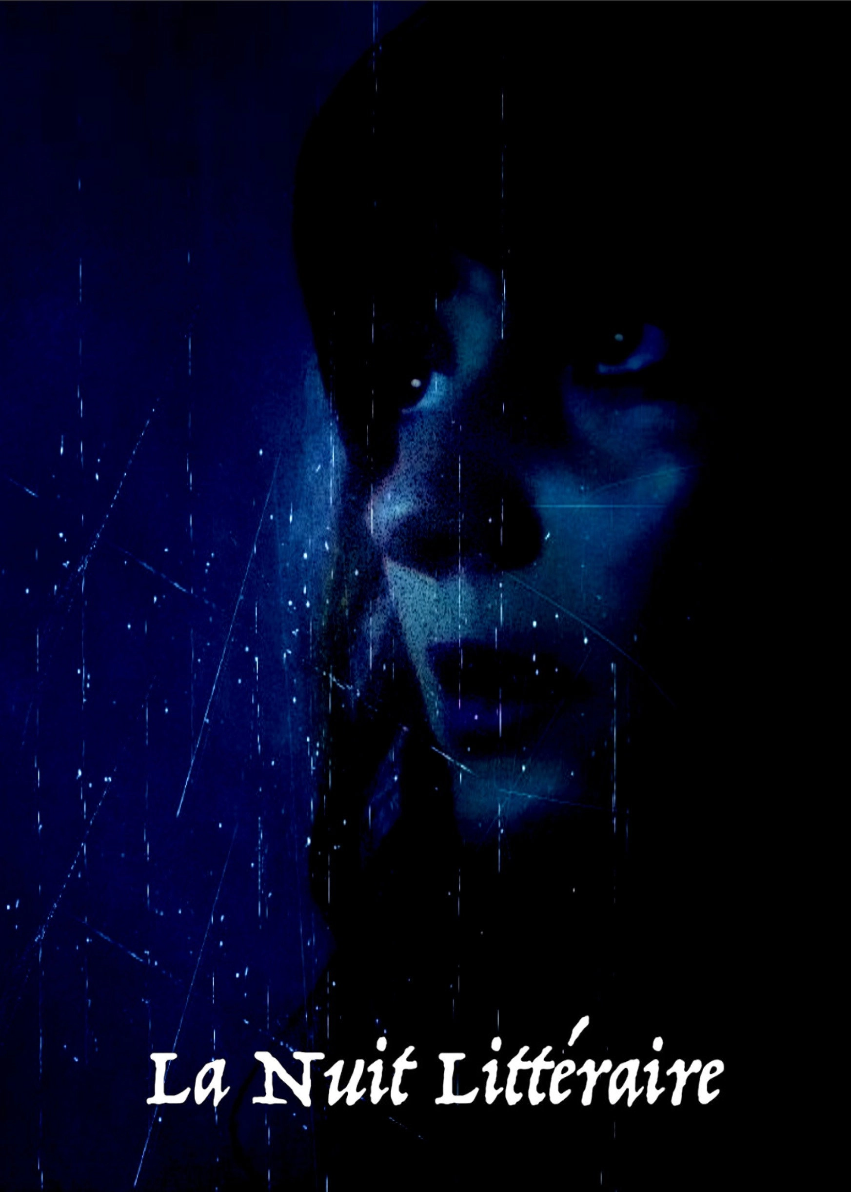 La nuit littéraire