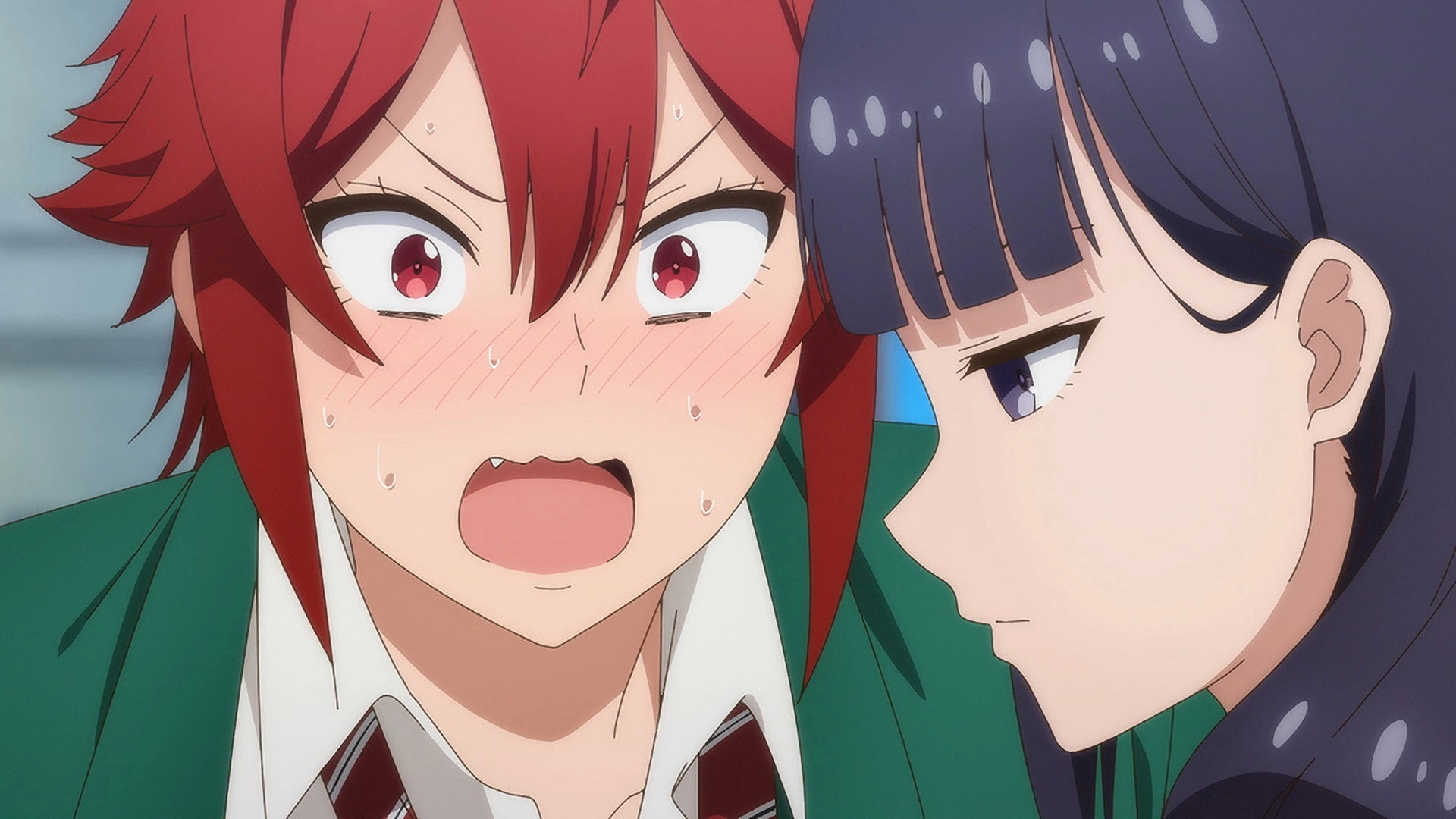 Tomo-chan Is a Girl!