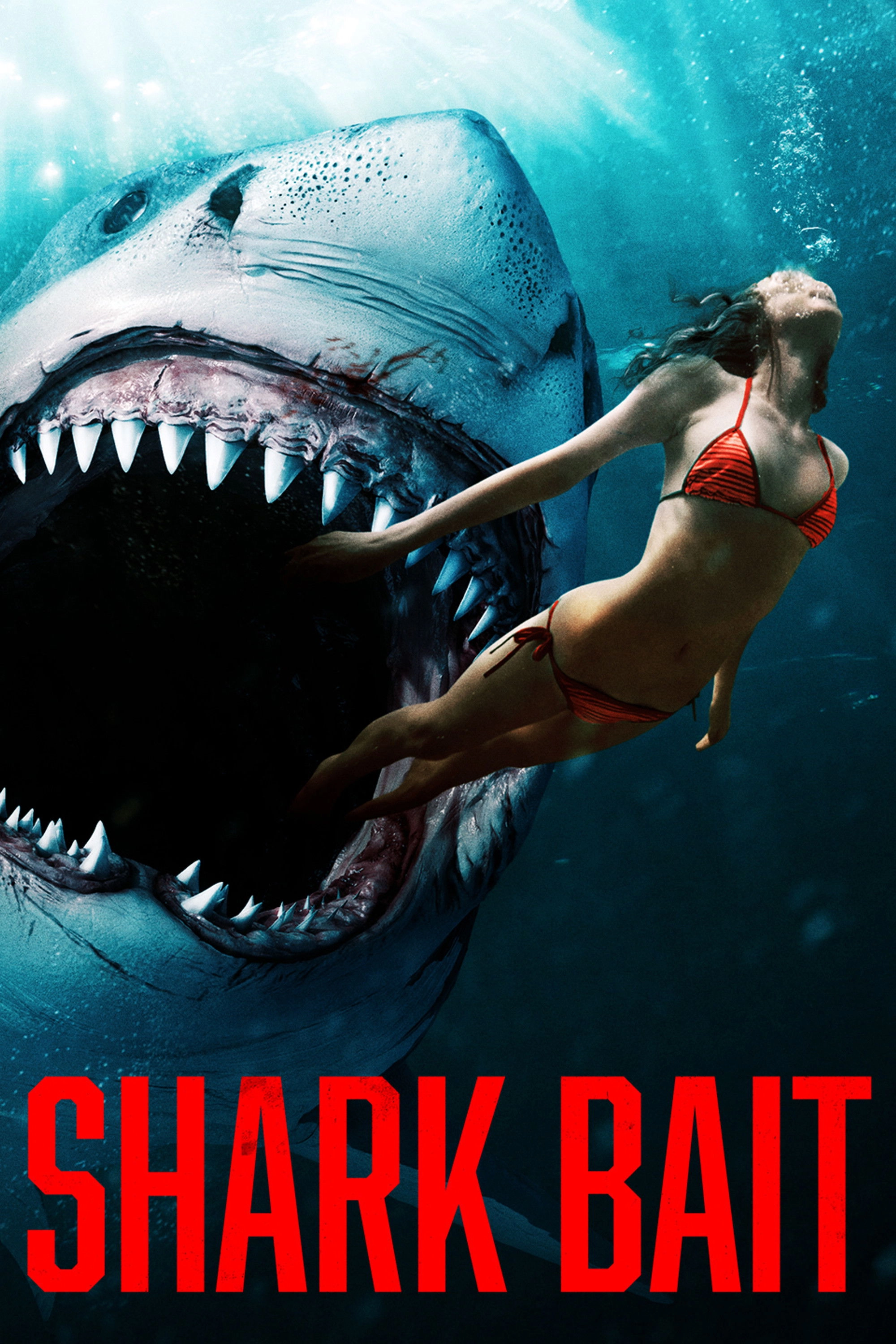 Shark Bait
