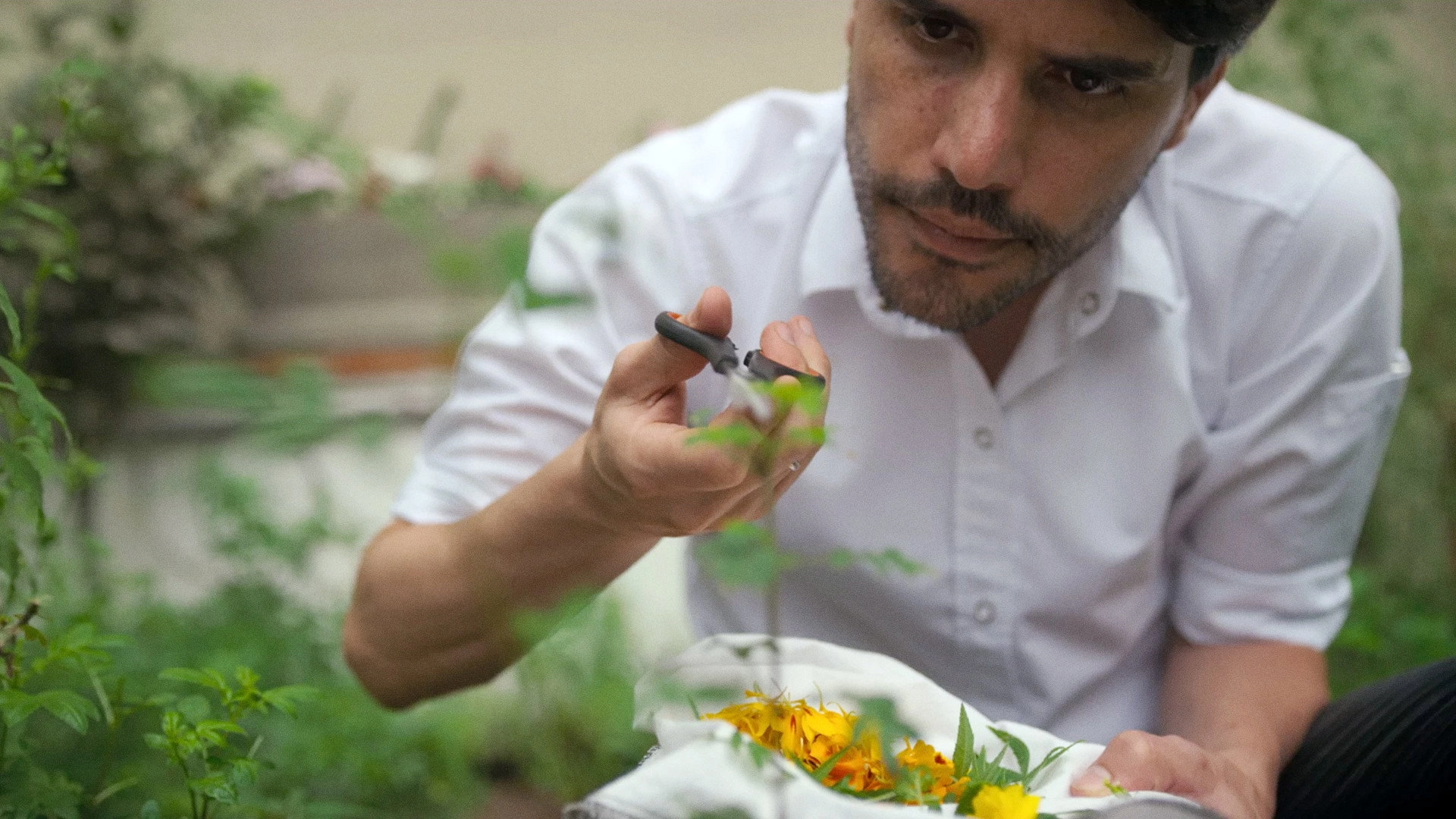 Chef's Table