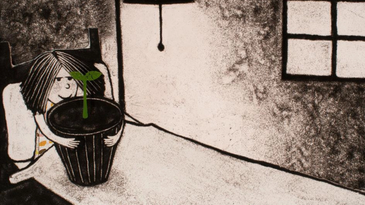The Little Seed