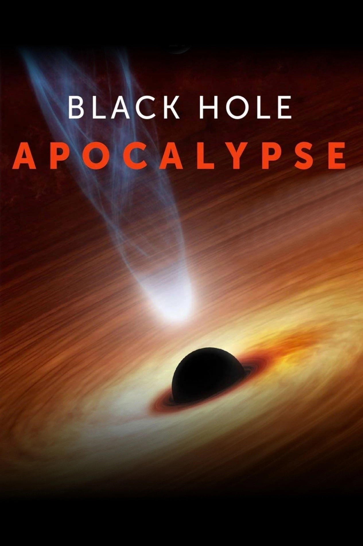 Black Hole Apocalypse