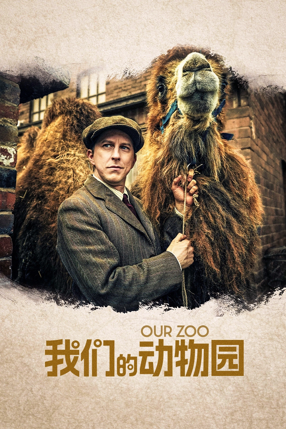 Our Zoo