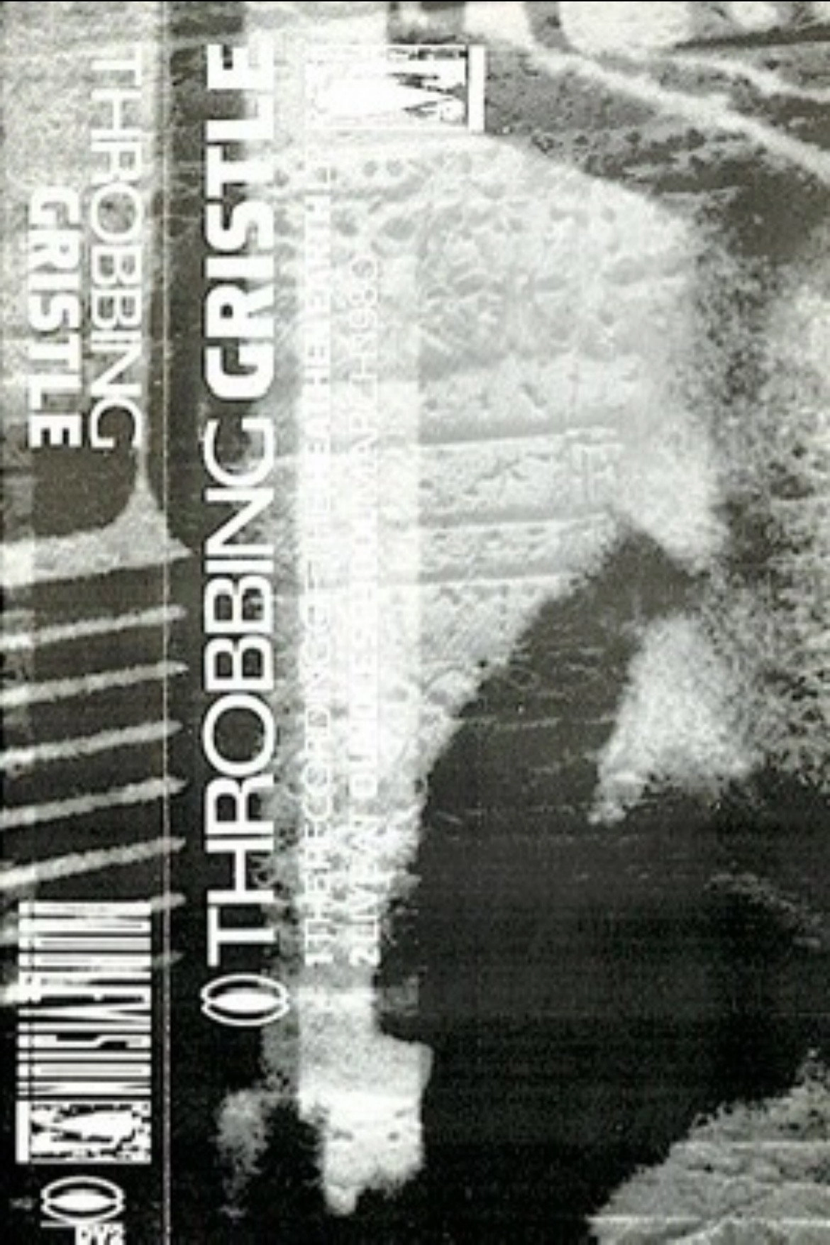 Throbbing Gristle: Recording Heathen Earth