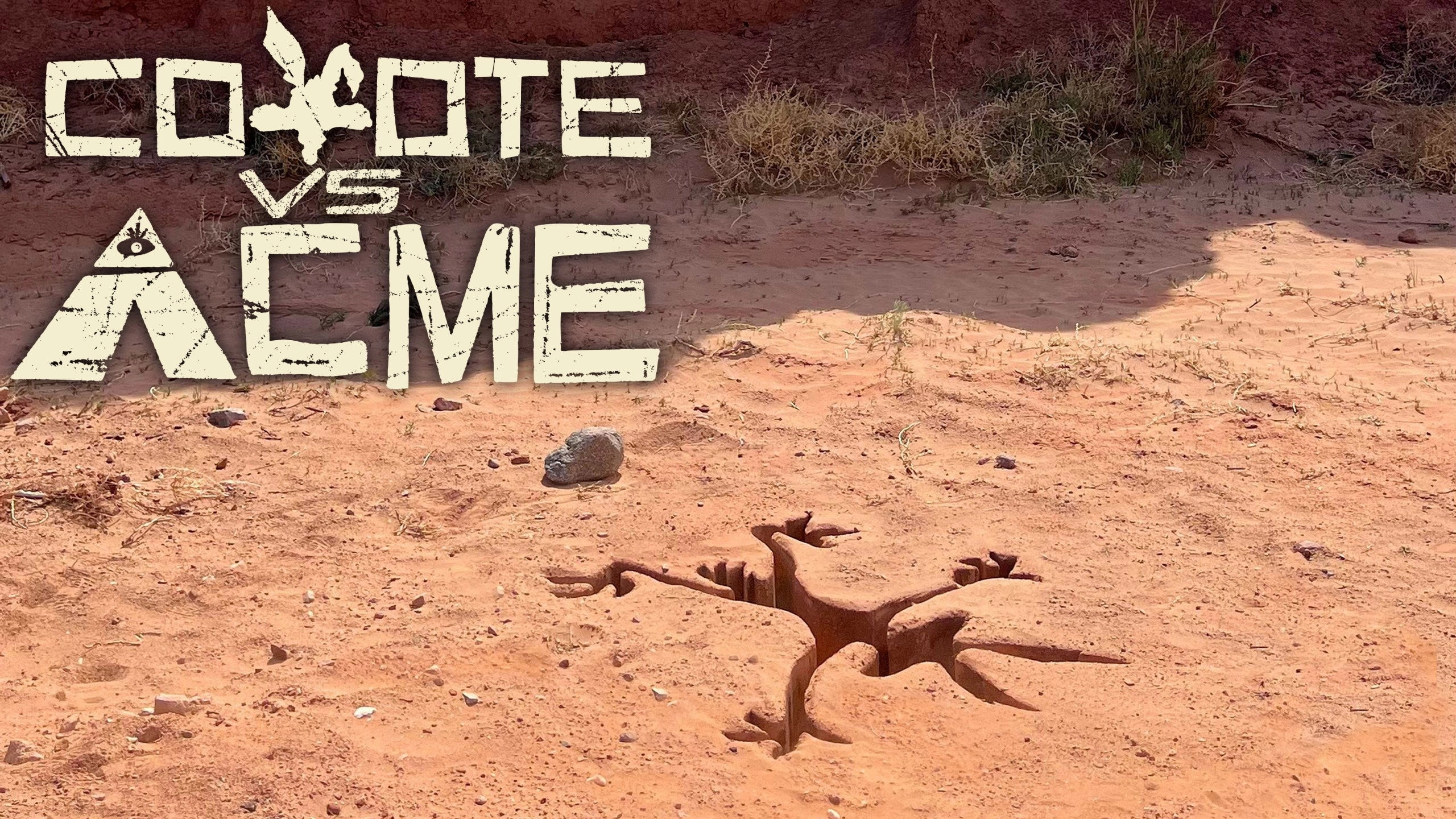 Coyote vs ACME