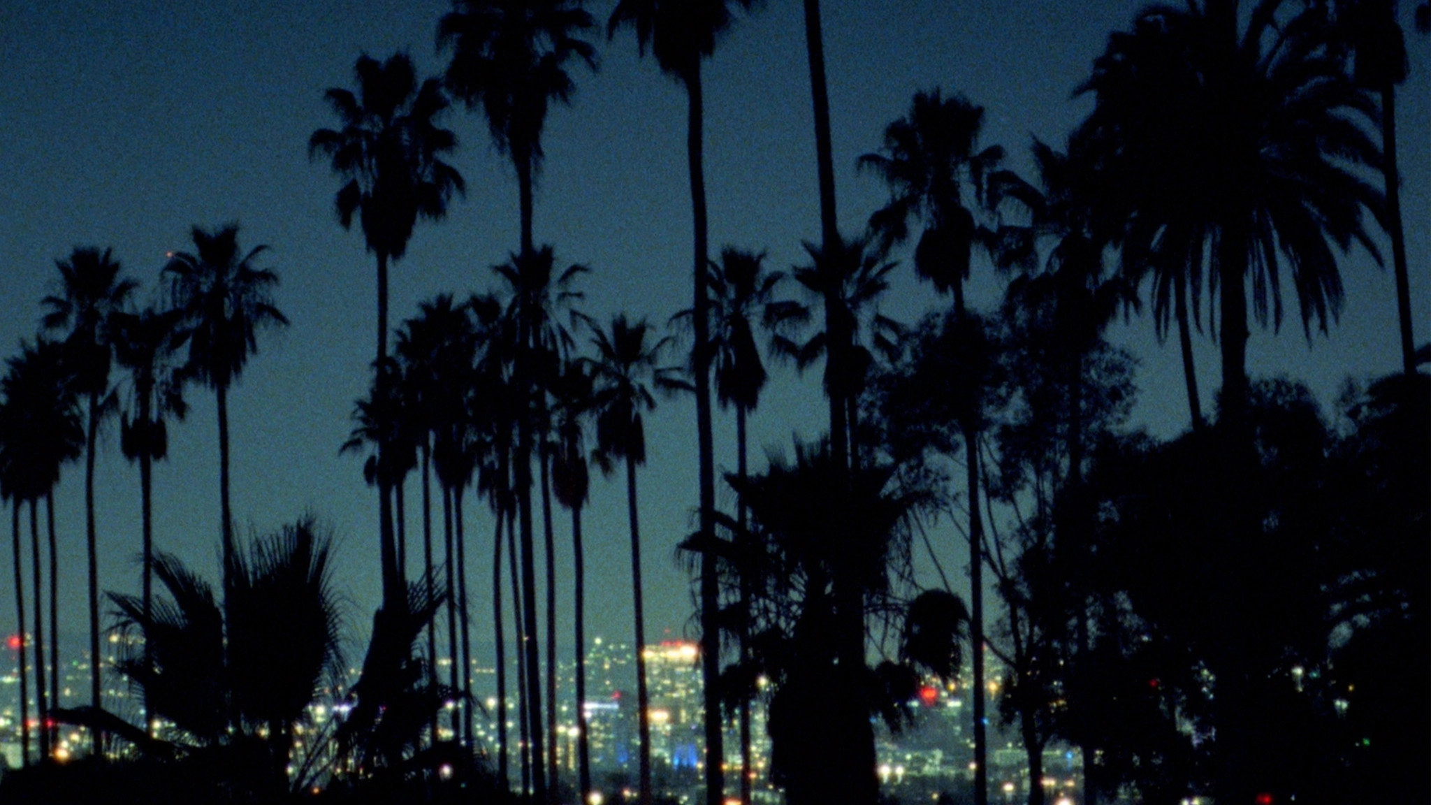 Palm