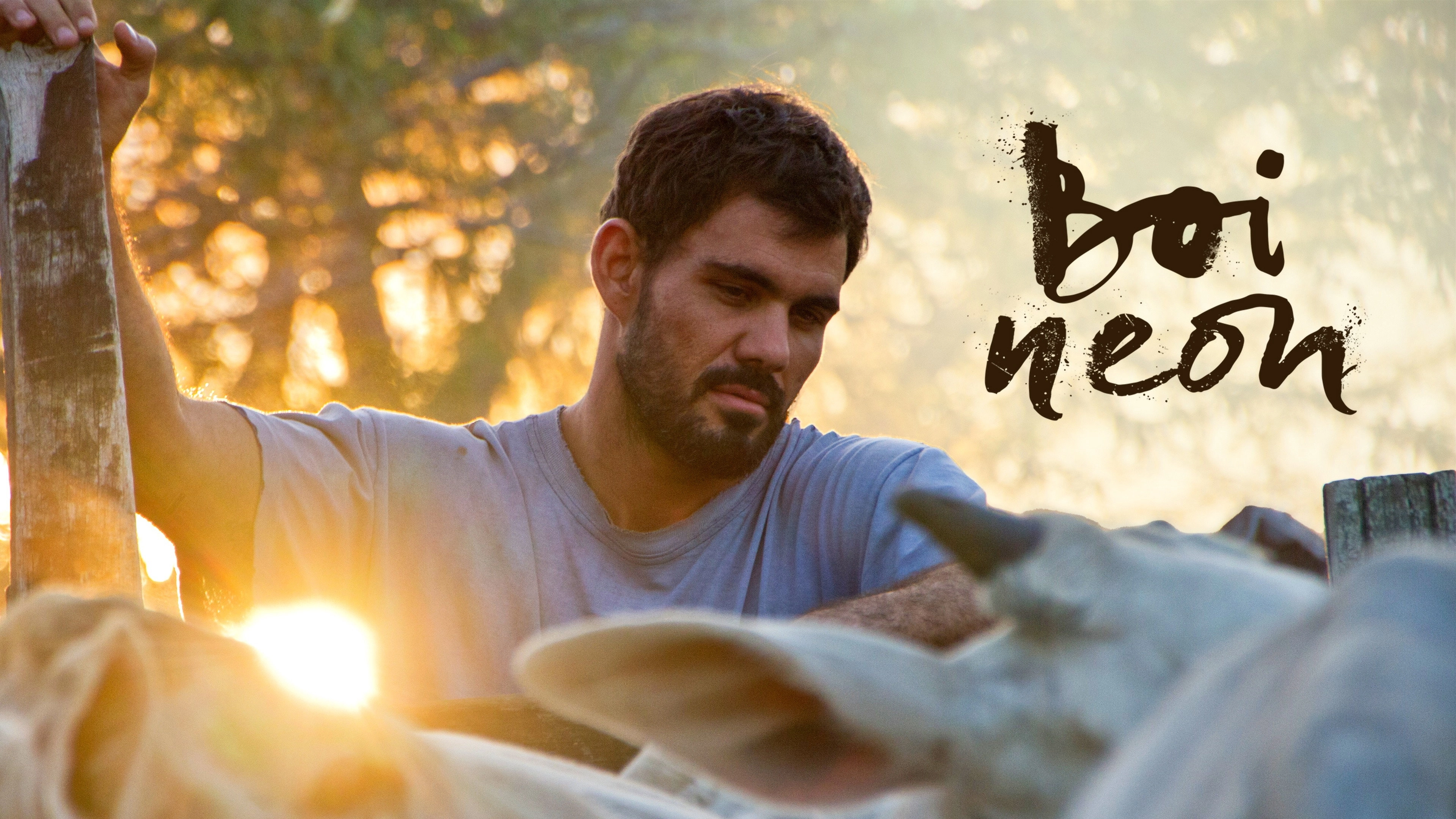Neon Bull