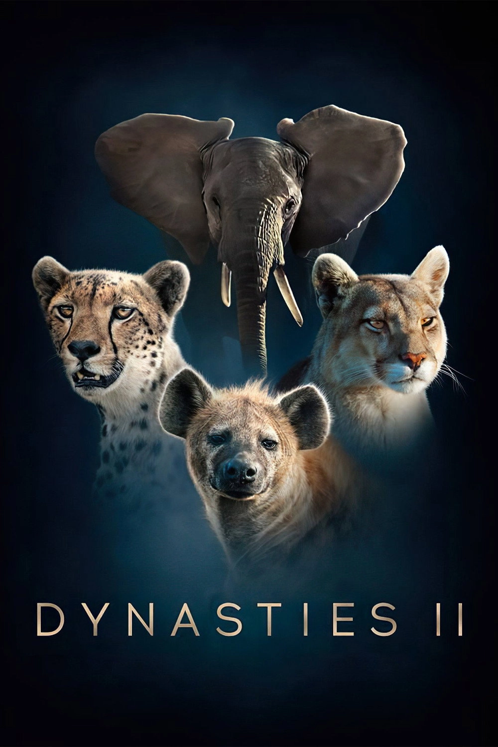 Dynasties