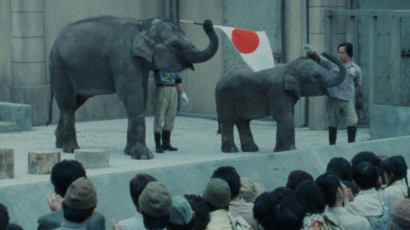 Baby Elephant Story: The angel who descended to earth