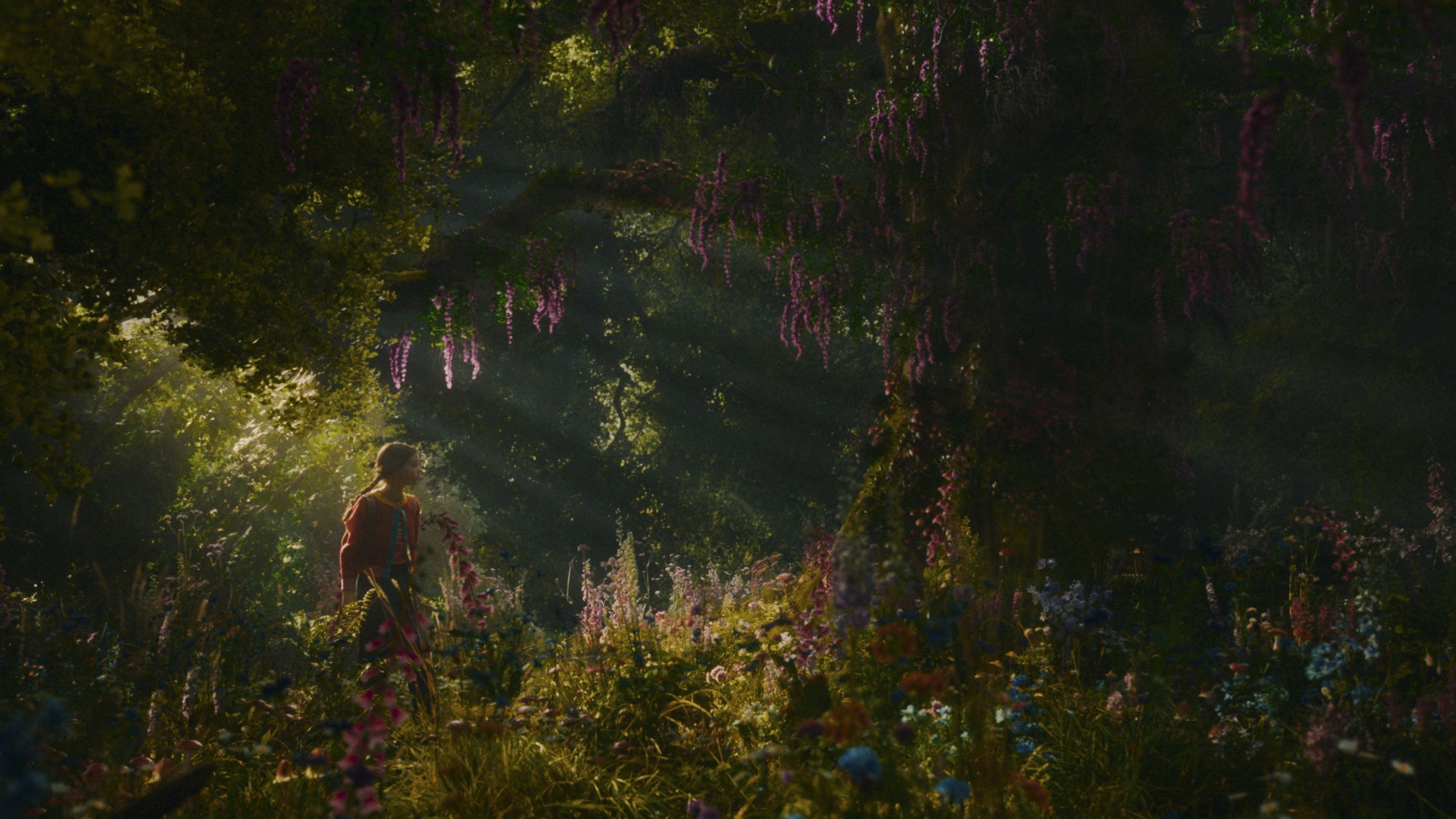 The Magic Faraway Tree