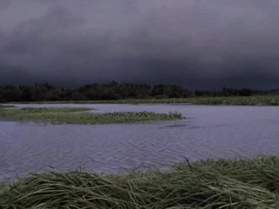 Swamp People