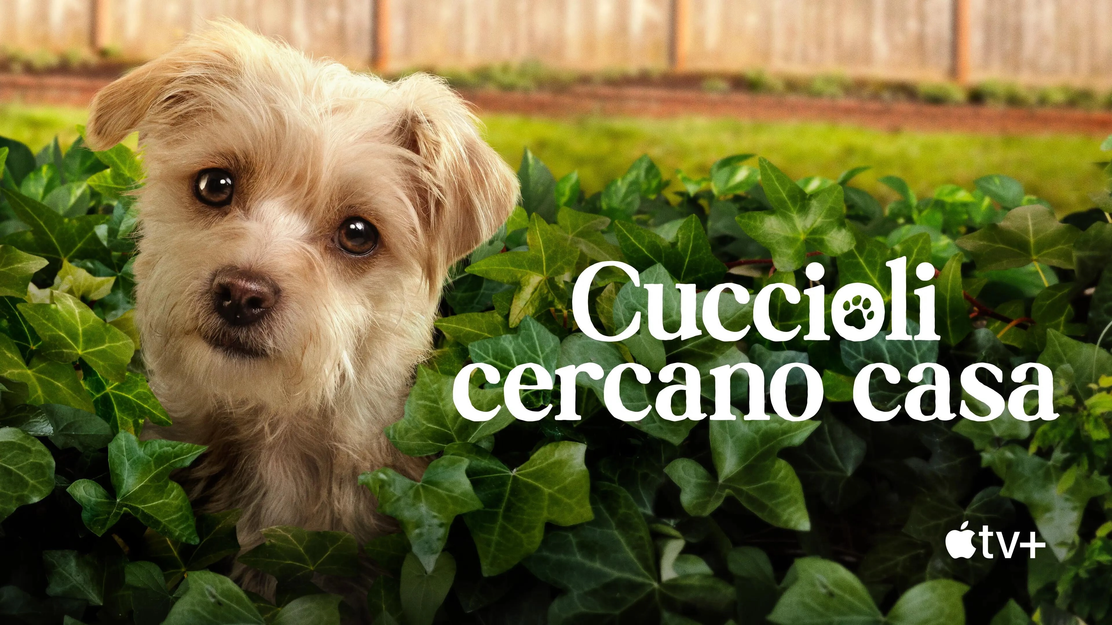 Puppy Place