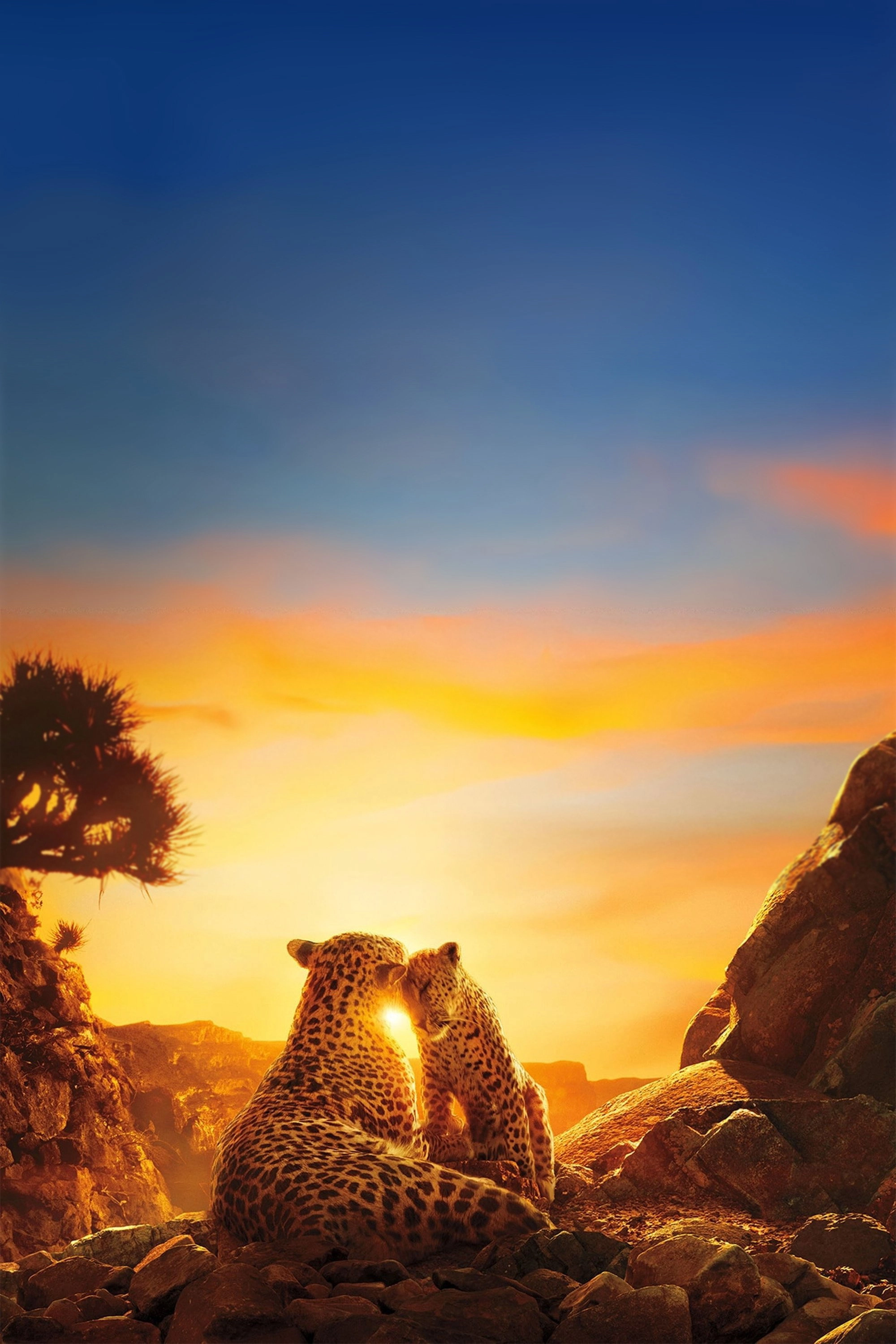 Our Planet
