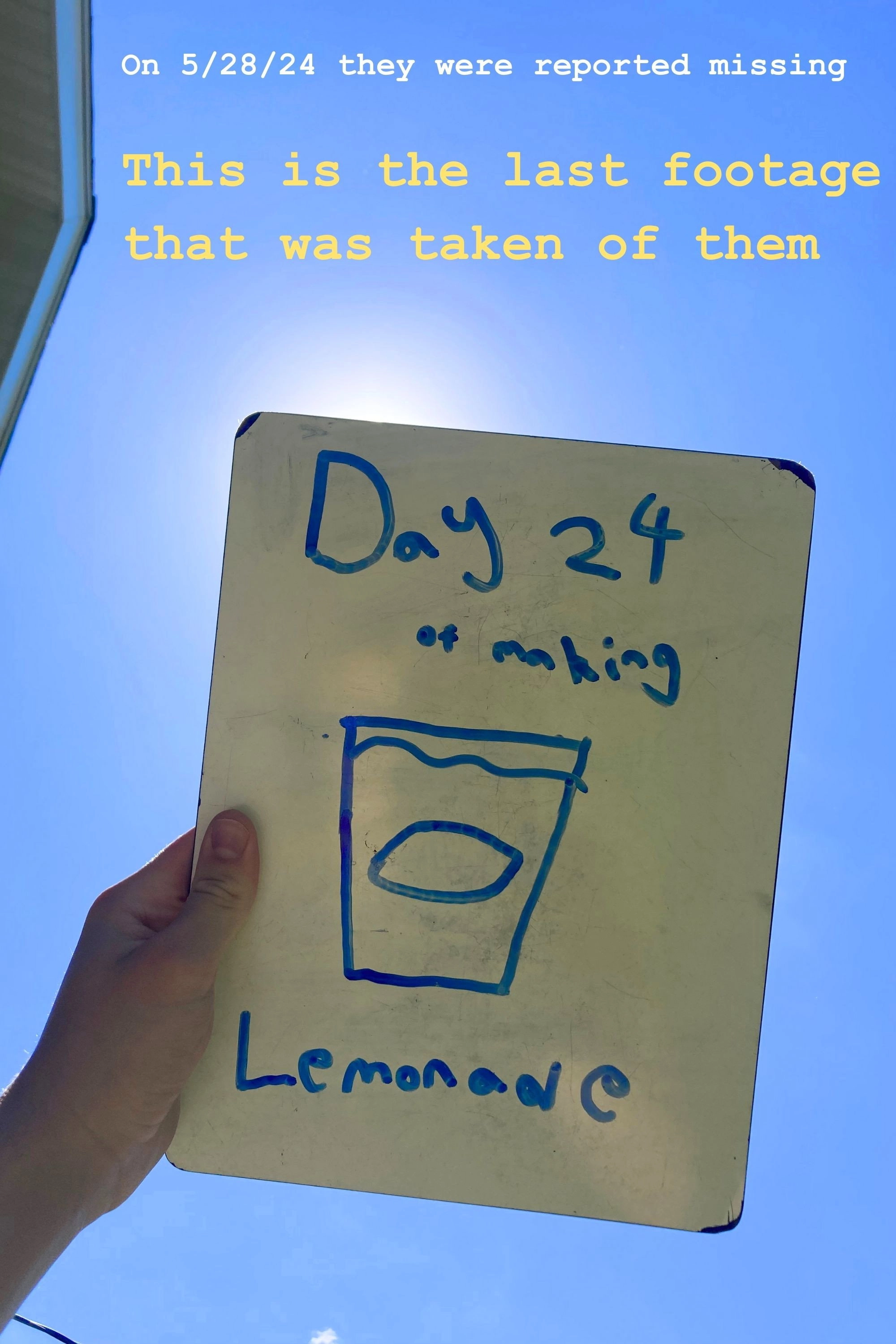 Day 24 of Making Lemonade
