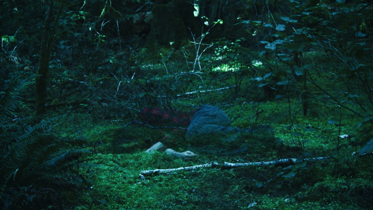 Sleepwalker