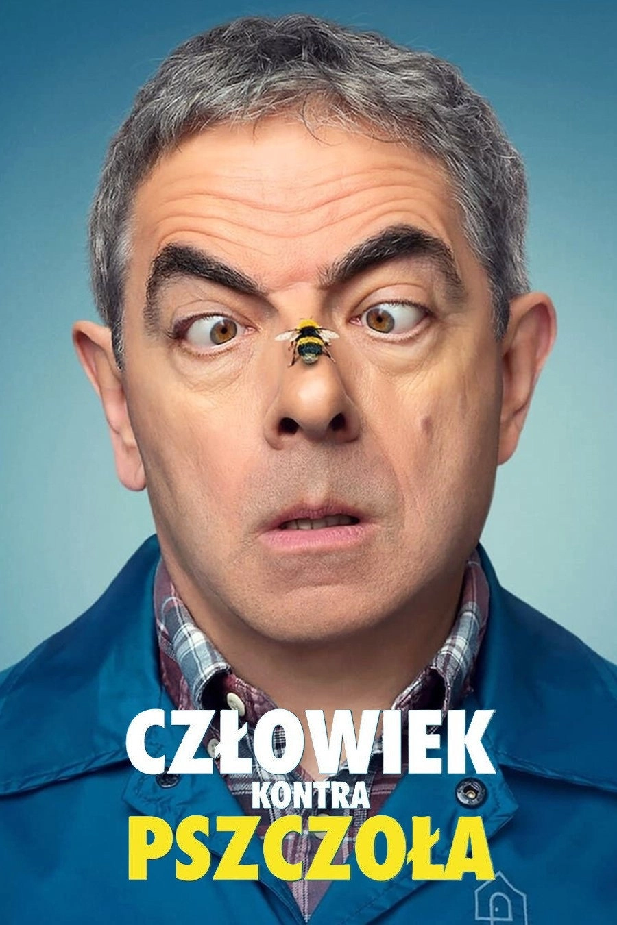 Man vs Bee