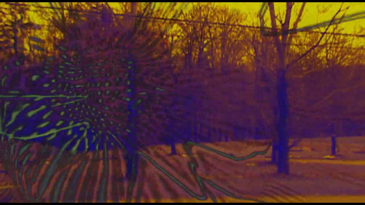 Joose Psychedelia Test