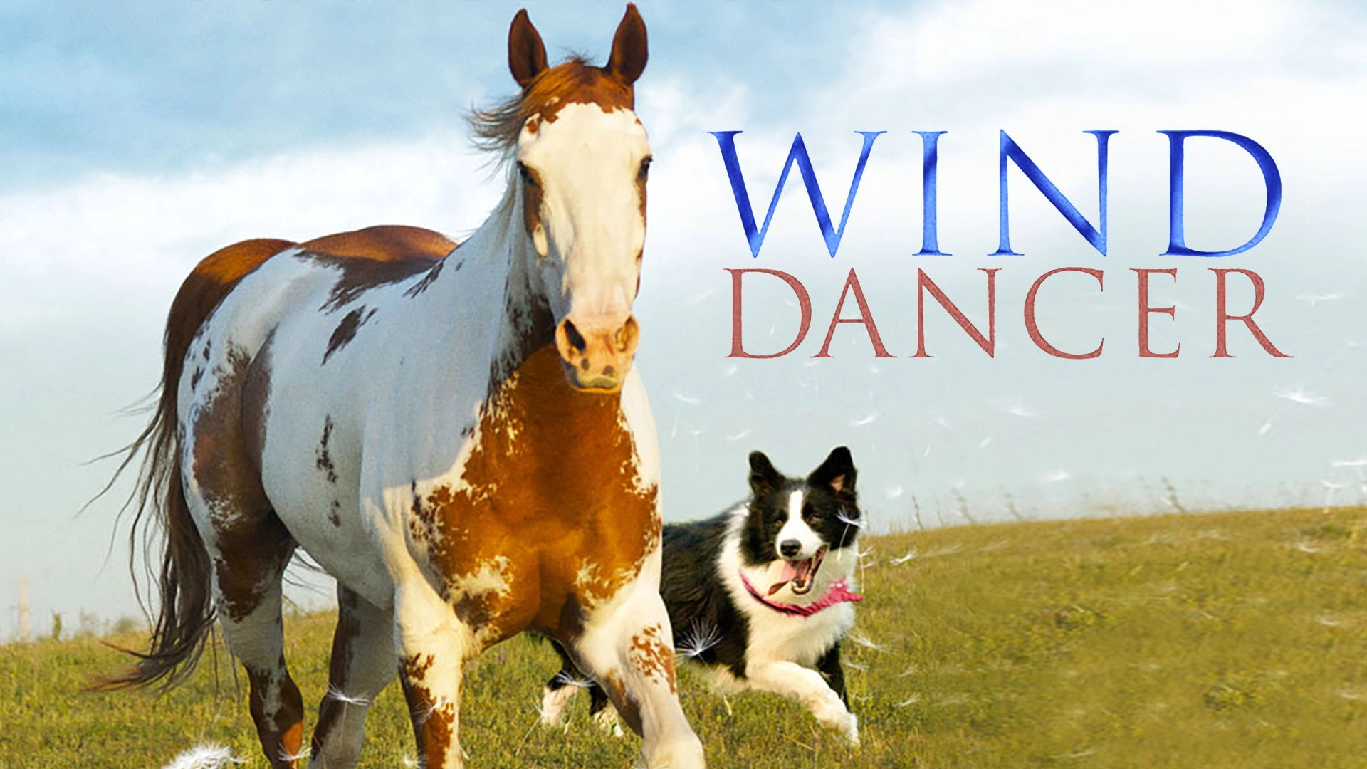 Wind Dancer