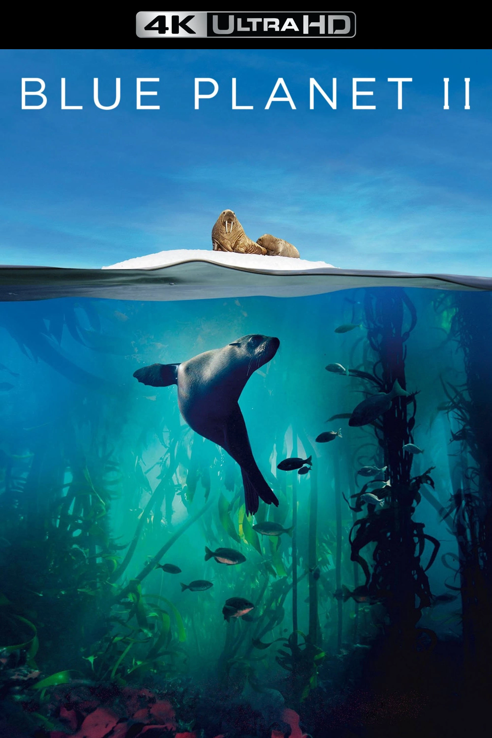 Blue Planet II