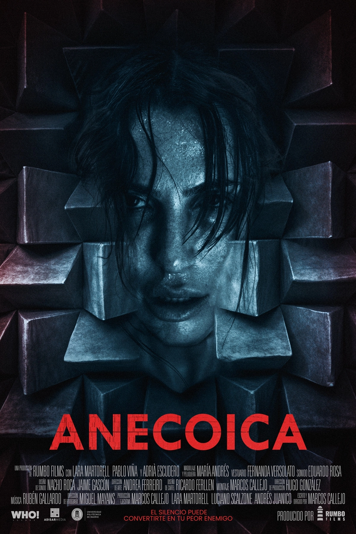Anecoica