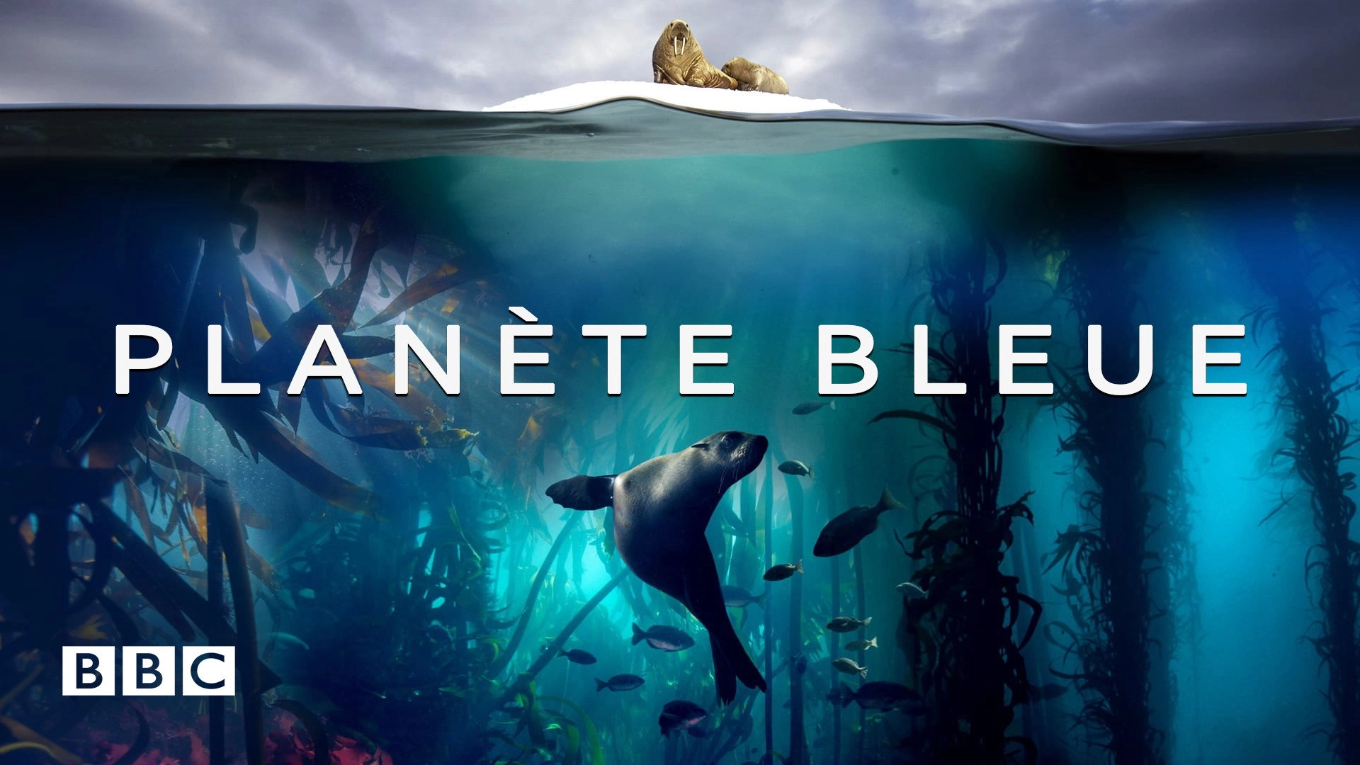 Blue Planet II