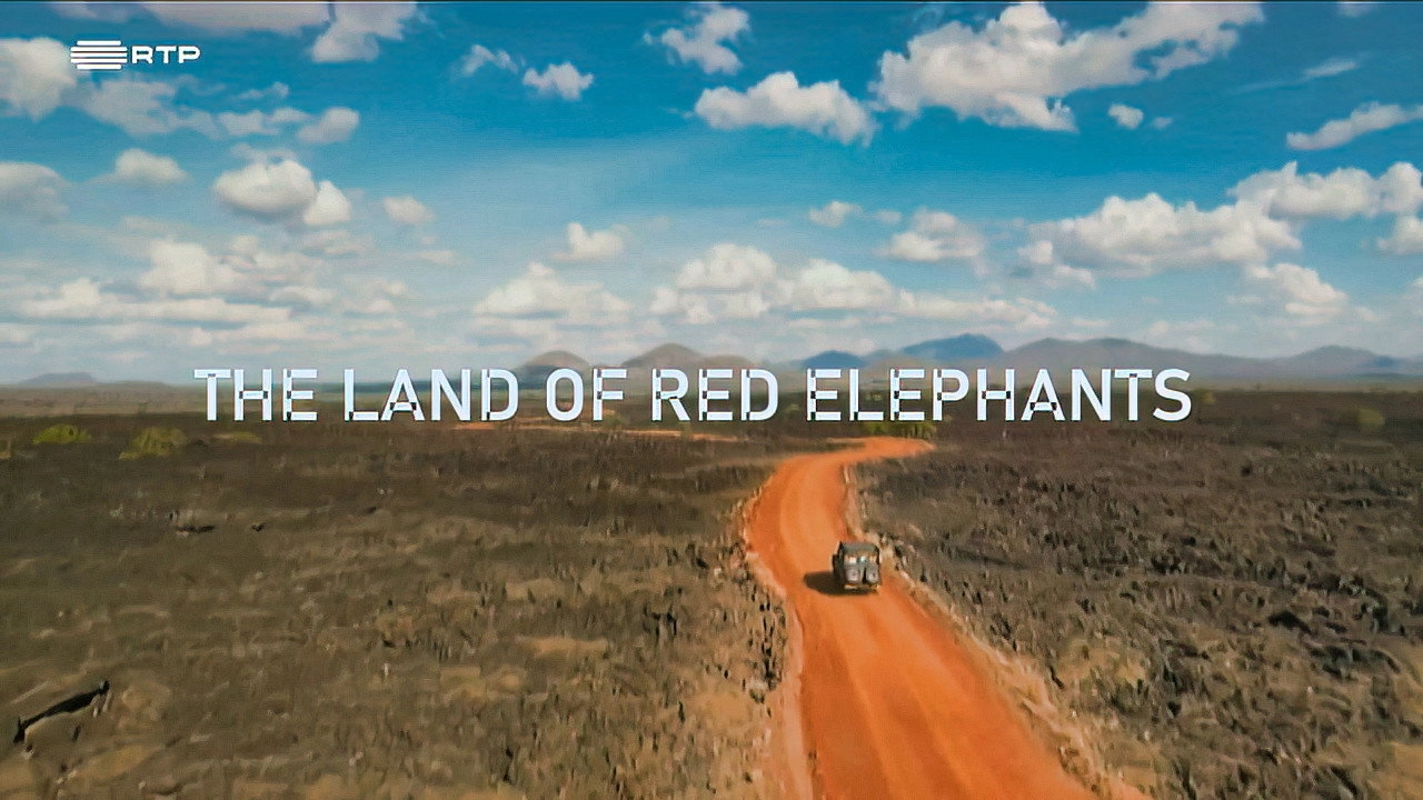Planet Safari