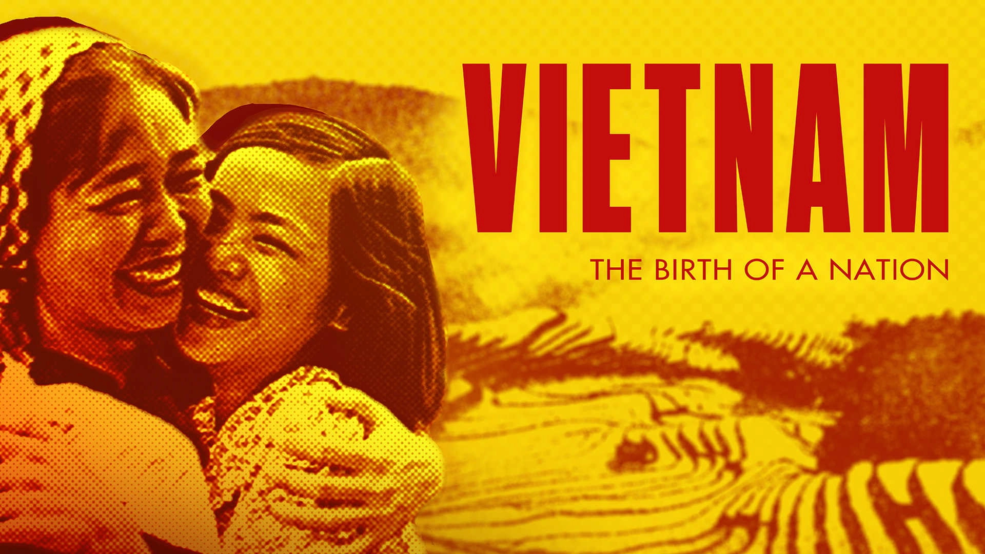 Vietnam. Geburt einer Nation