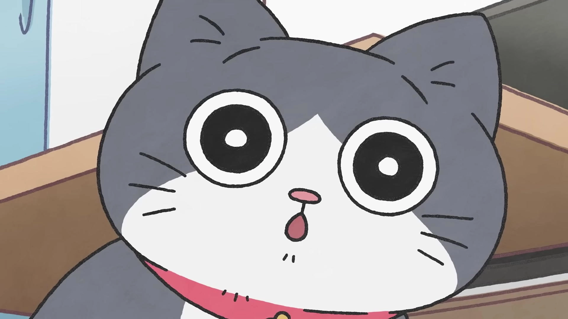Cat Uncle: The Guy That Got Reincarnated As a Cat