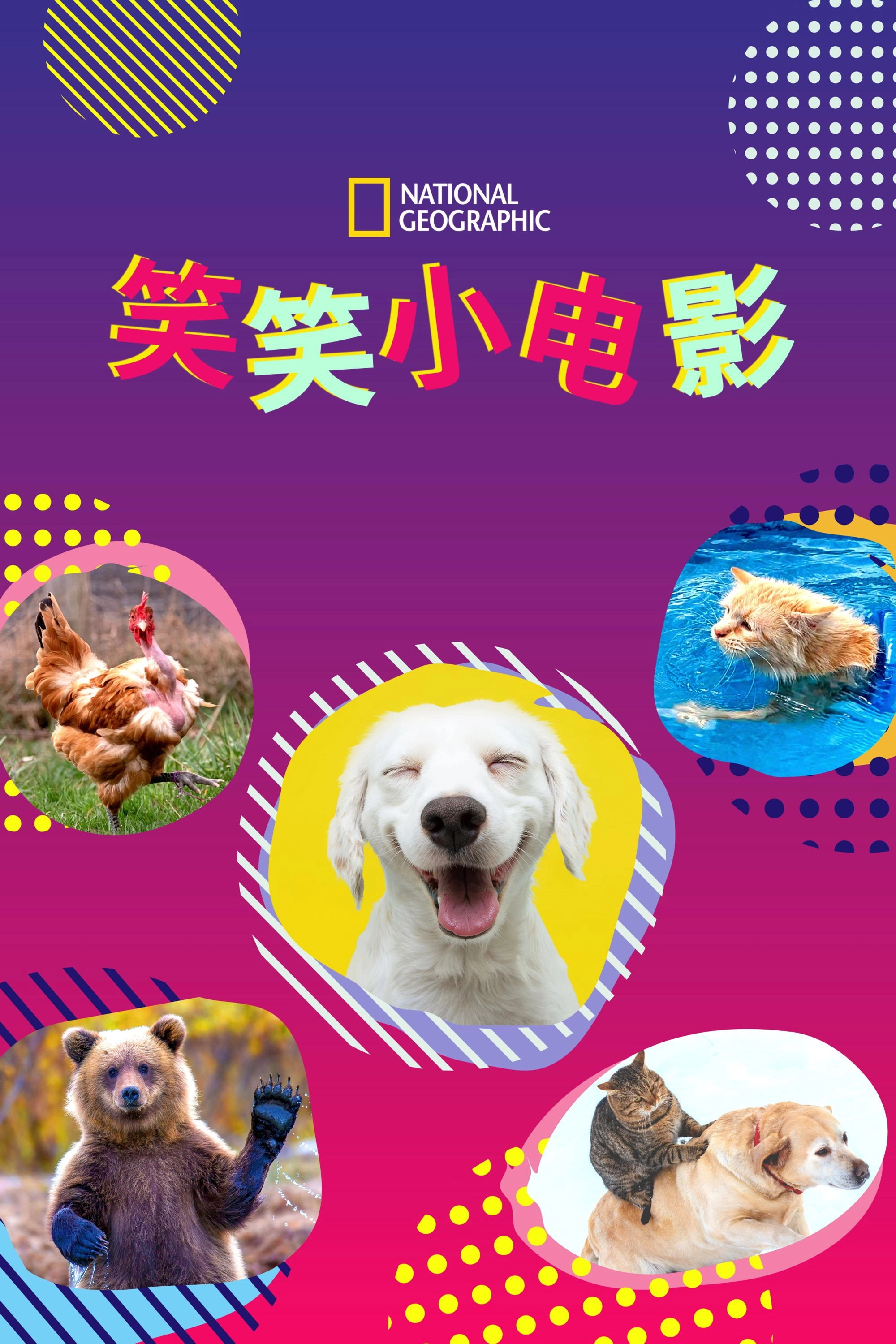 America's Funniest Home Videos: Animal Edition