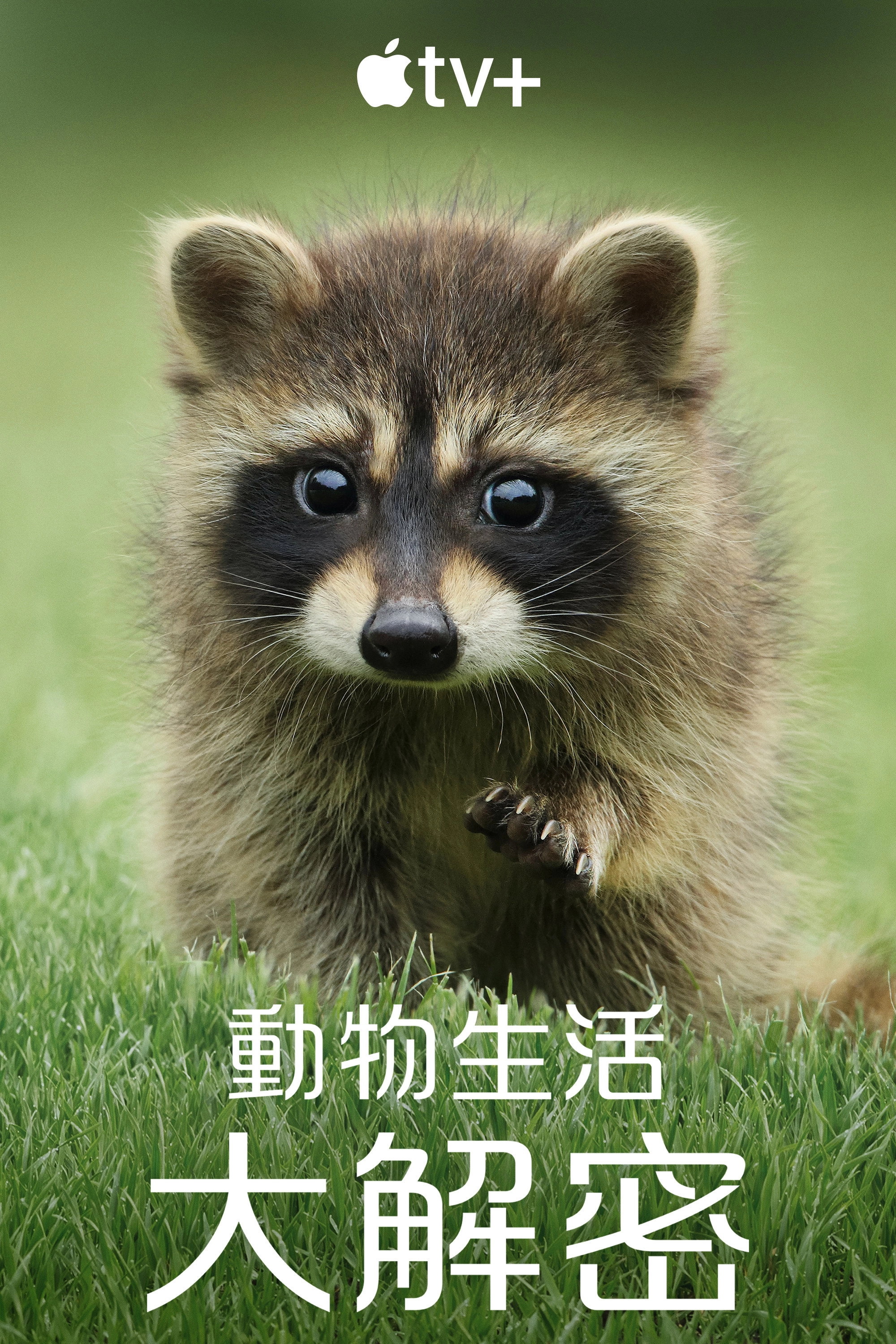 The Secret Lives of Animals