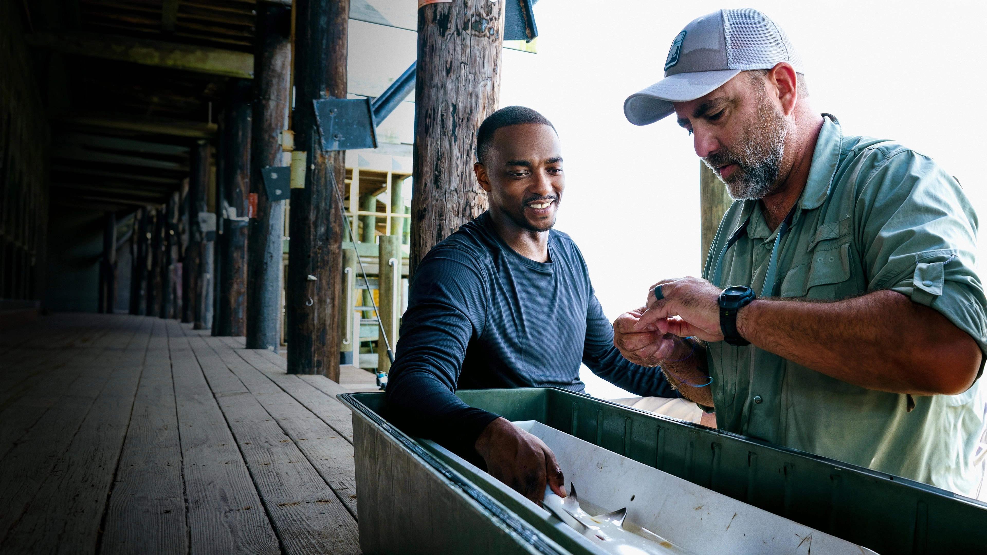 Shark Beach with Anthony Mackie