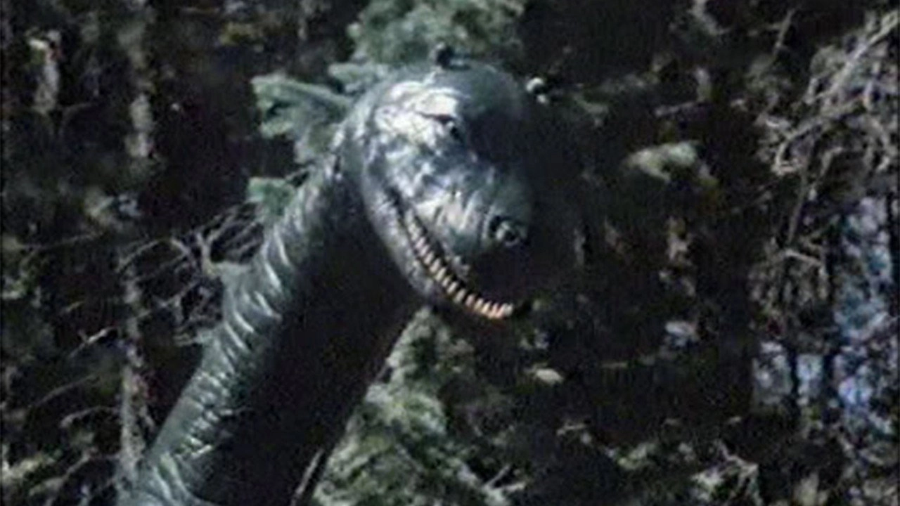 The Loch Ness Horror