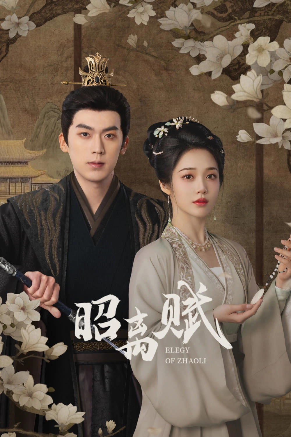 Elegy of Zhao Li