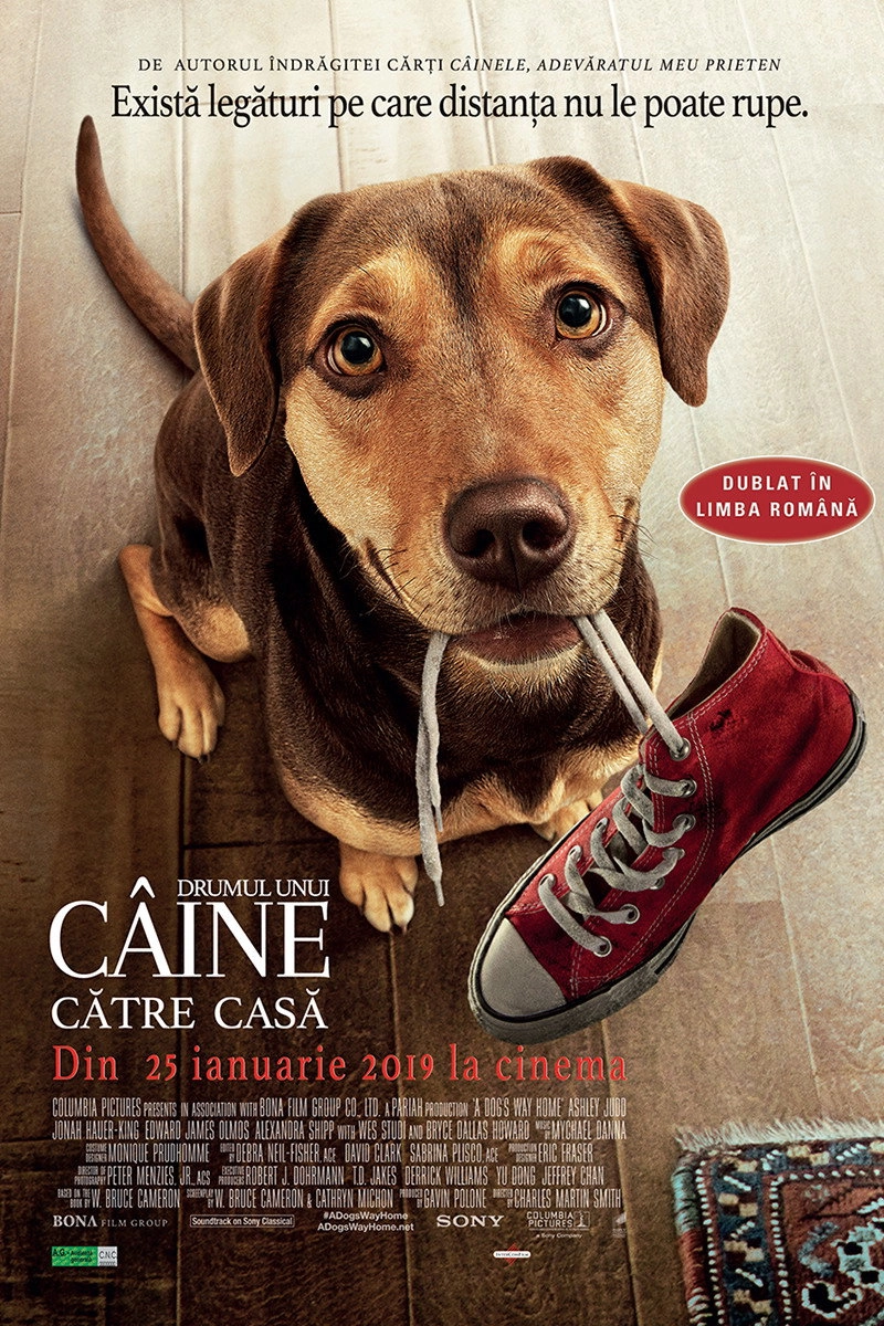 A Dog's Way Home