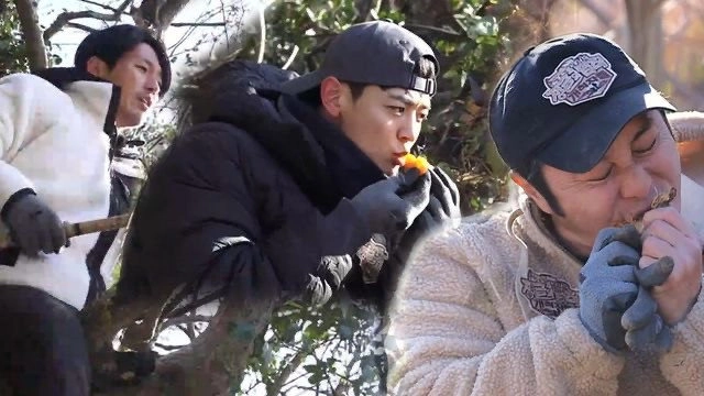 Law of the Jungle