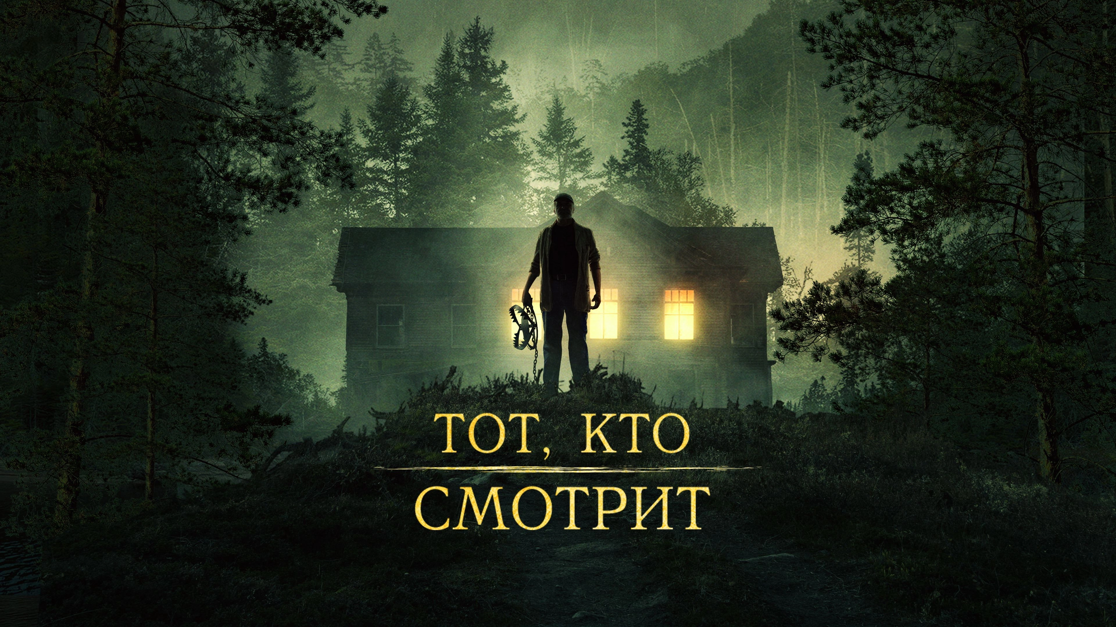 Stranger in the Woods
