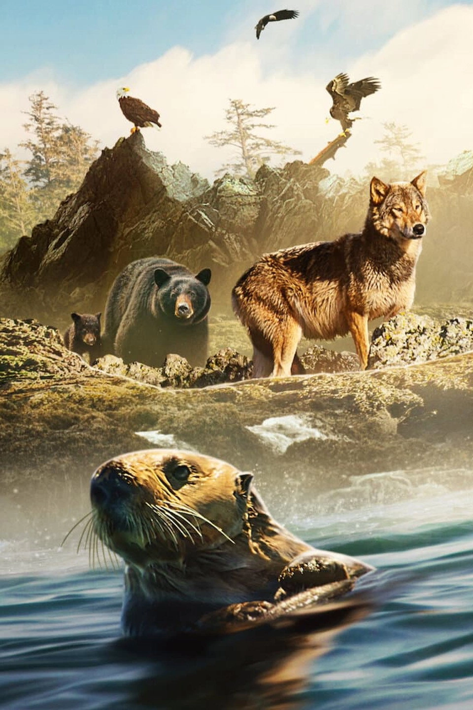 Island of the Sea Wolves