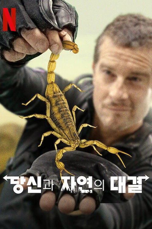 You vs. Wild