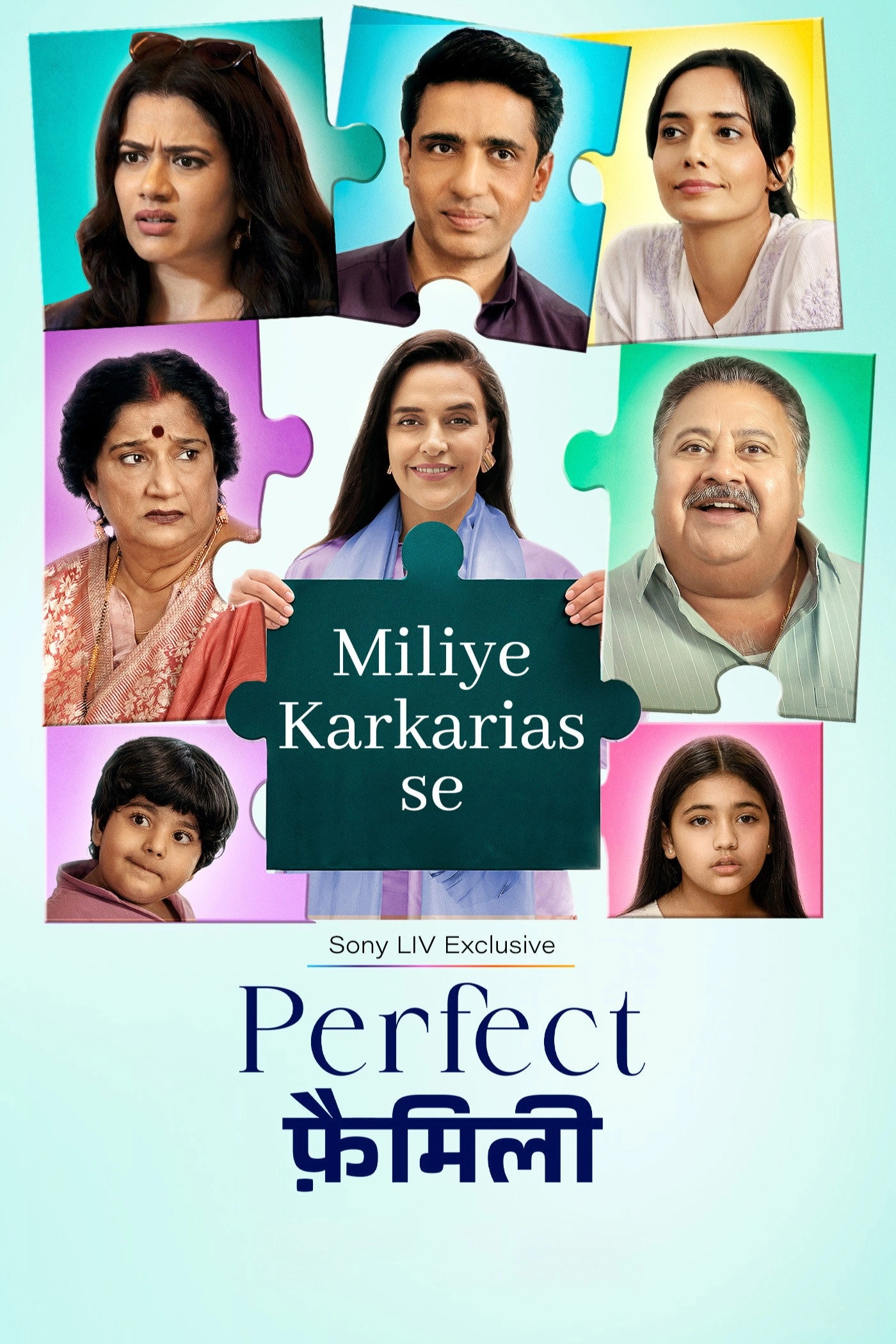 Perfect Family