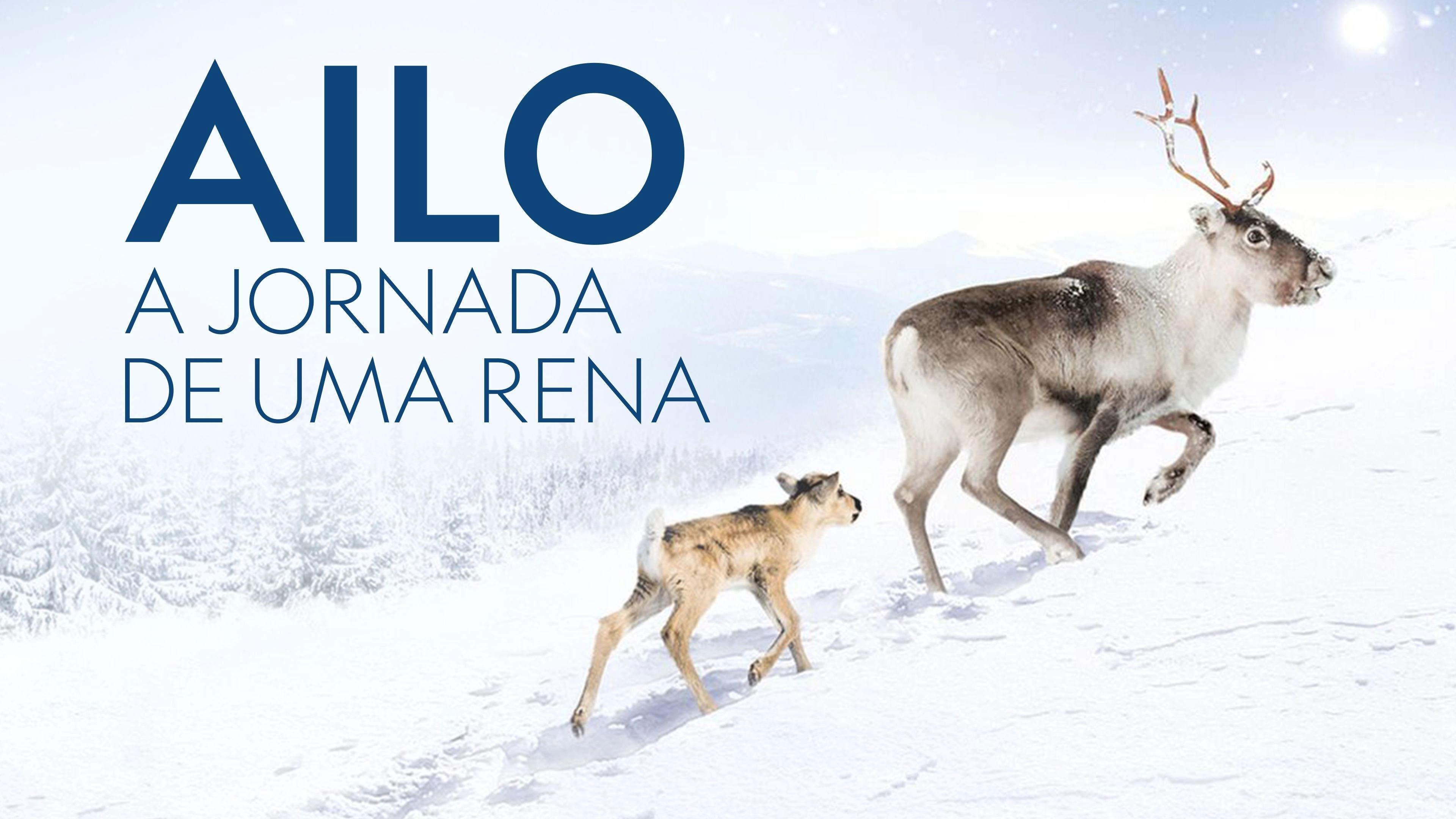 A Reindeer's Journey