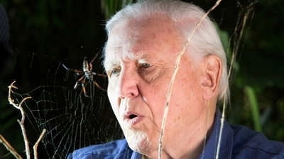 Micro Monsters with David Attenborough