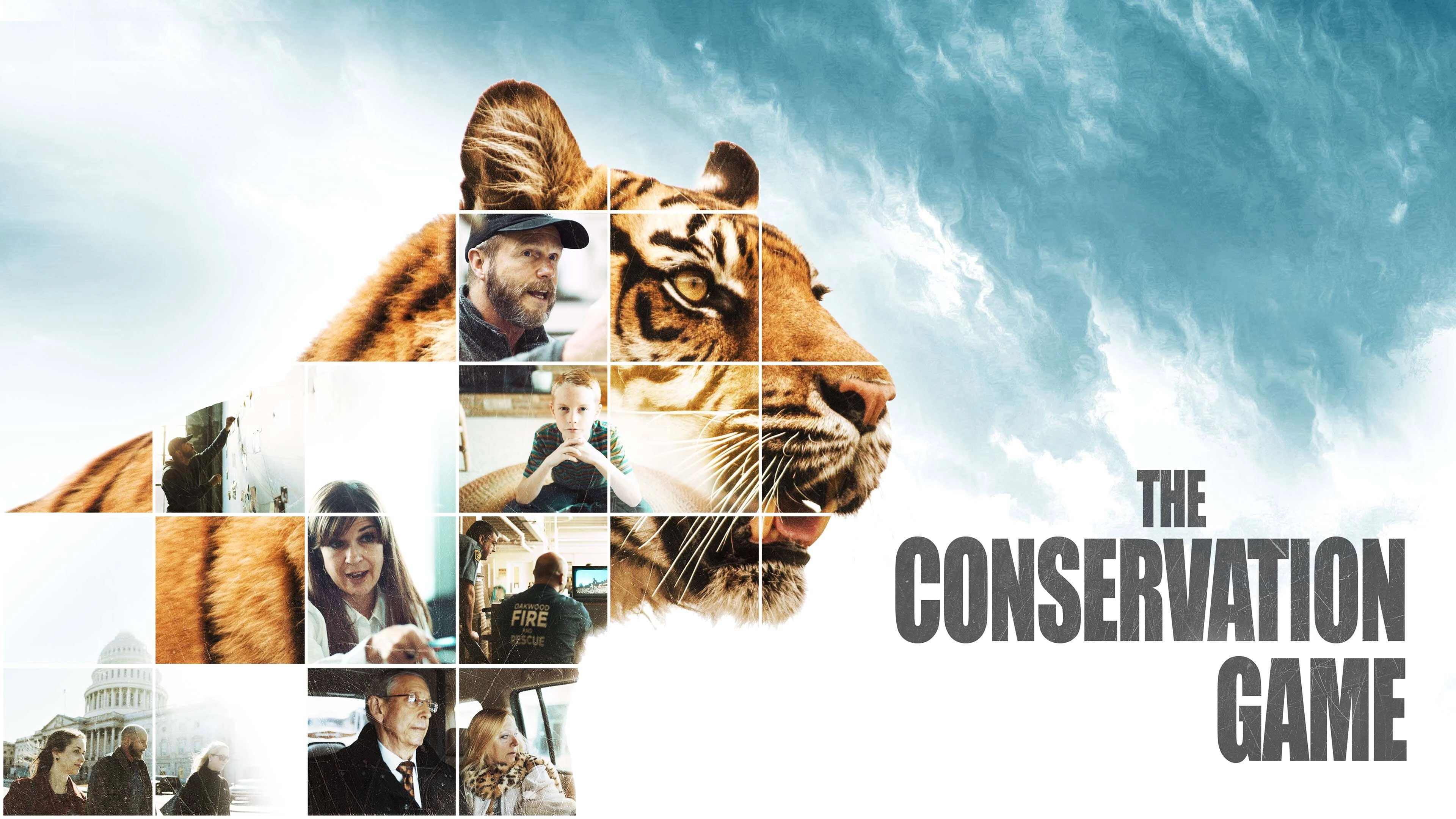 The Conservation Game