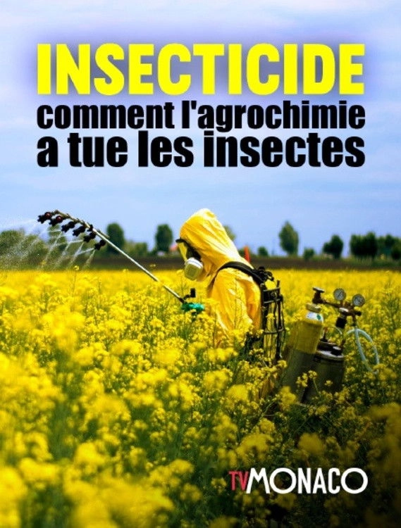 Insecticides: A License to Kill