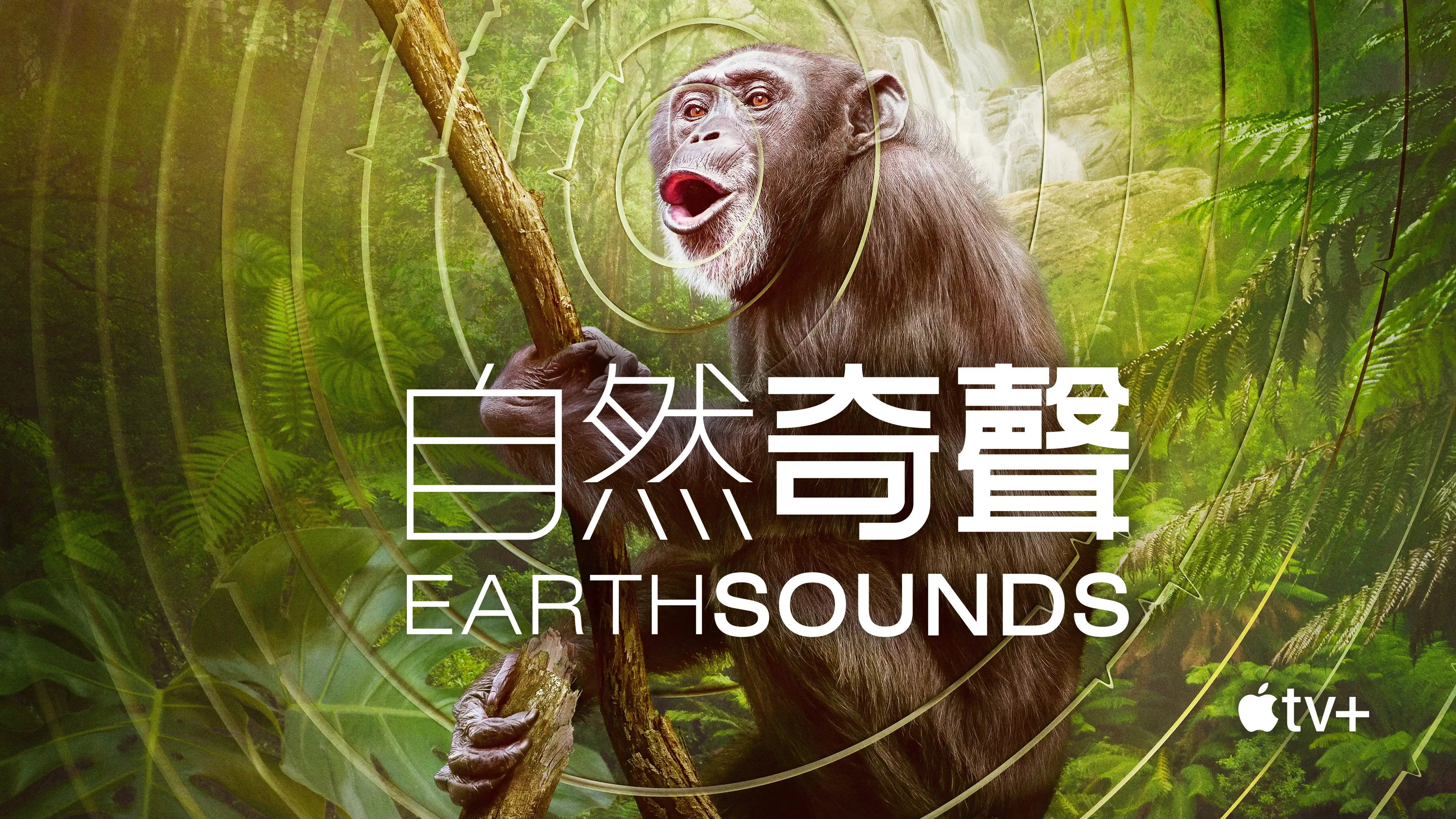 Earthsounds