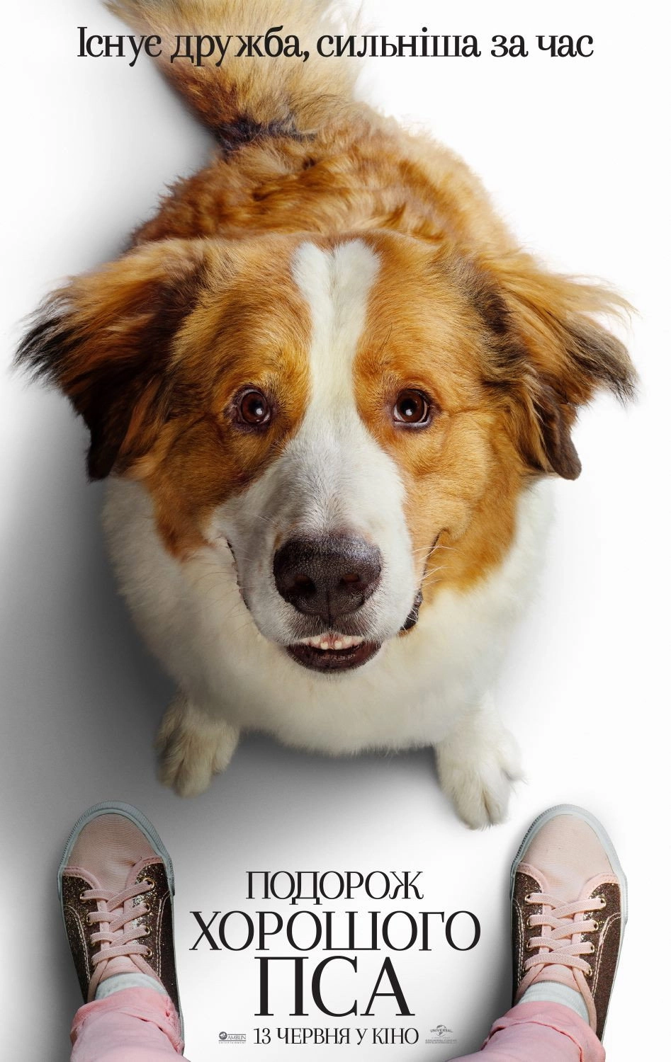 A Dog's Journey