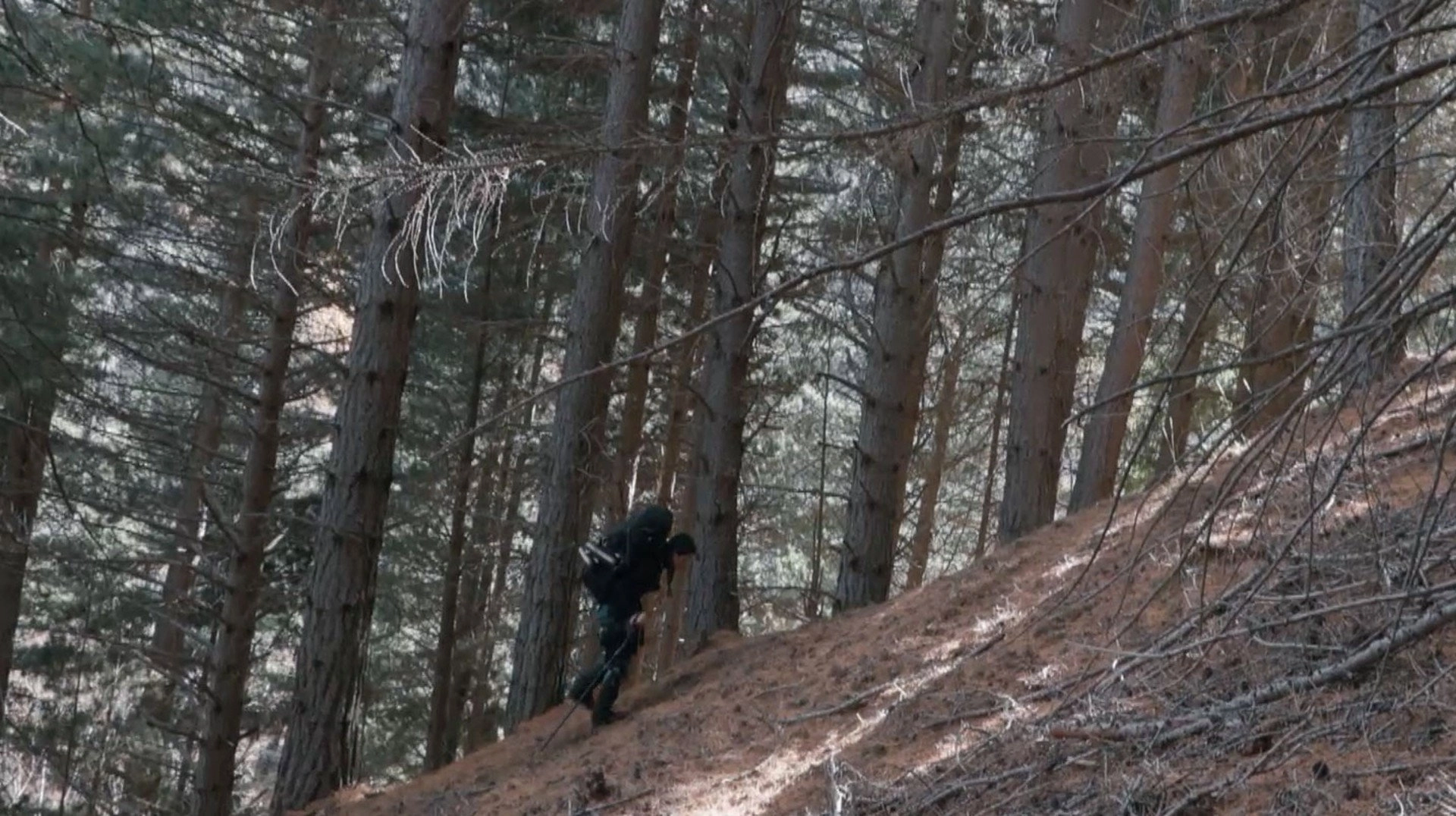Tracked - Jagd durch die Wildnis